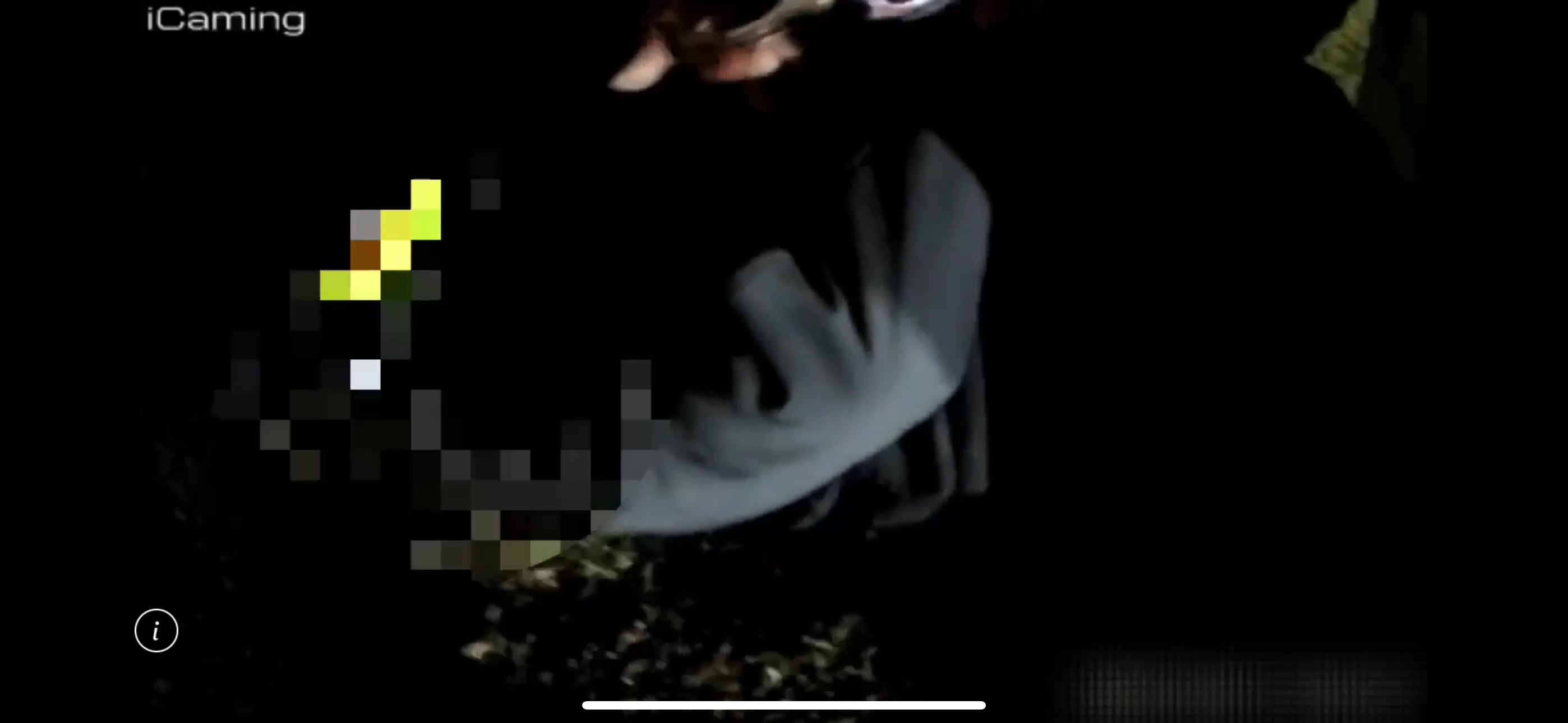 吳男潛入台北市立大學騷擾學生，與警方追趕後被壓制在地。（翻攝畫面）