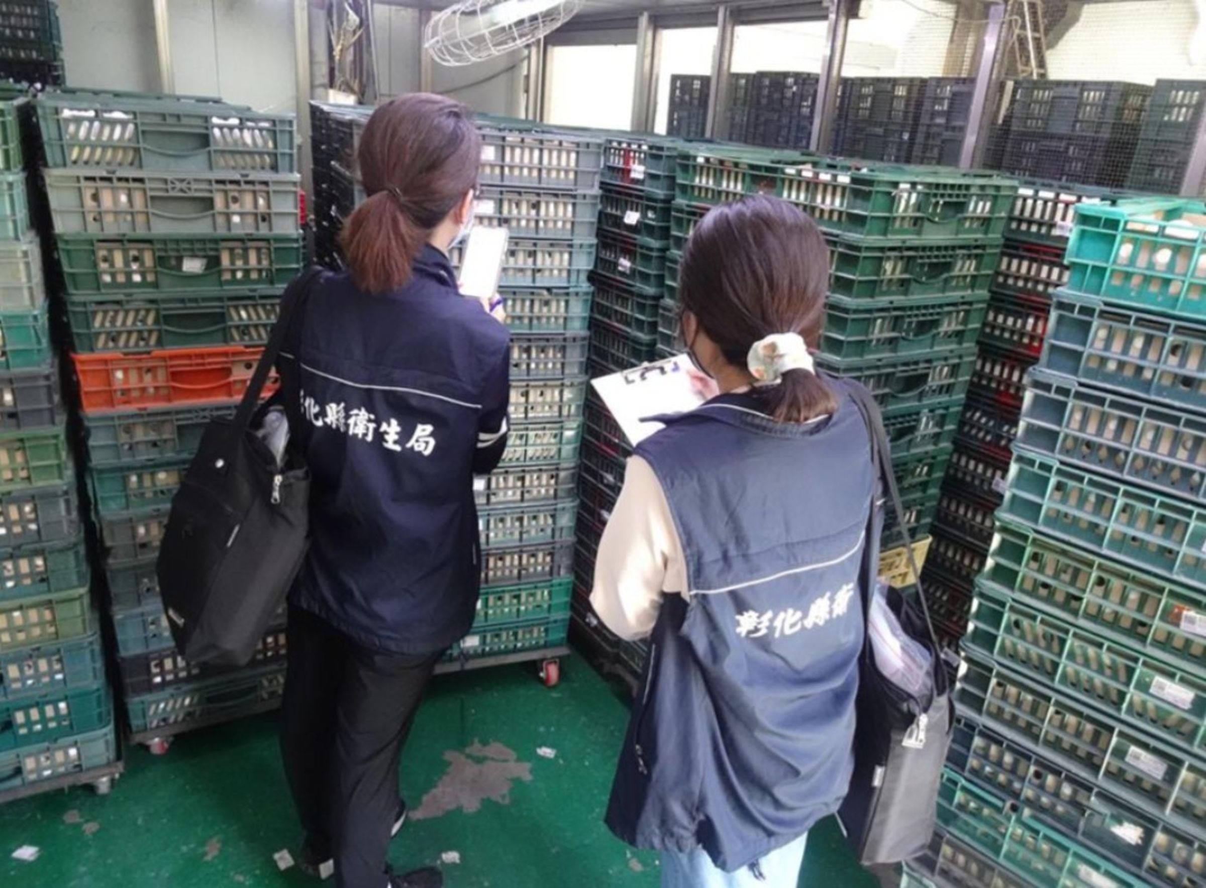 彰化縣衛生局清查含芬普尼雞蛋。（縣府提供）