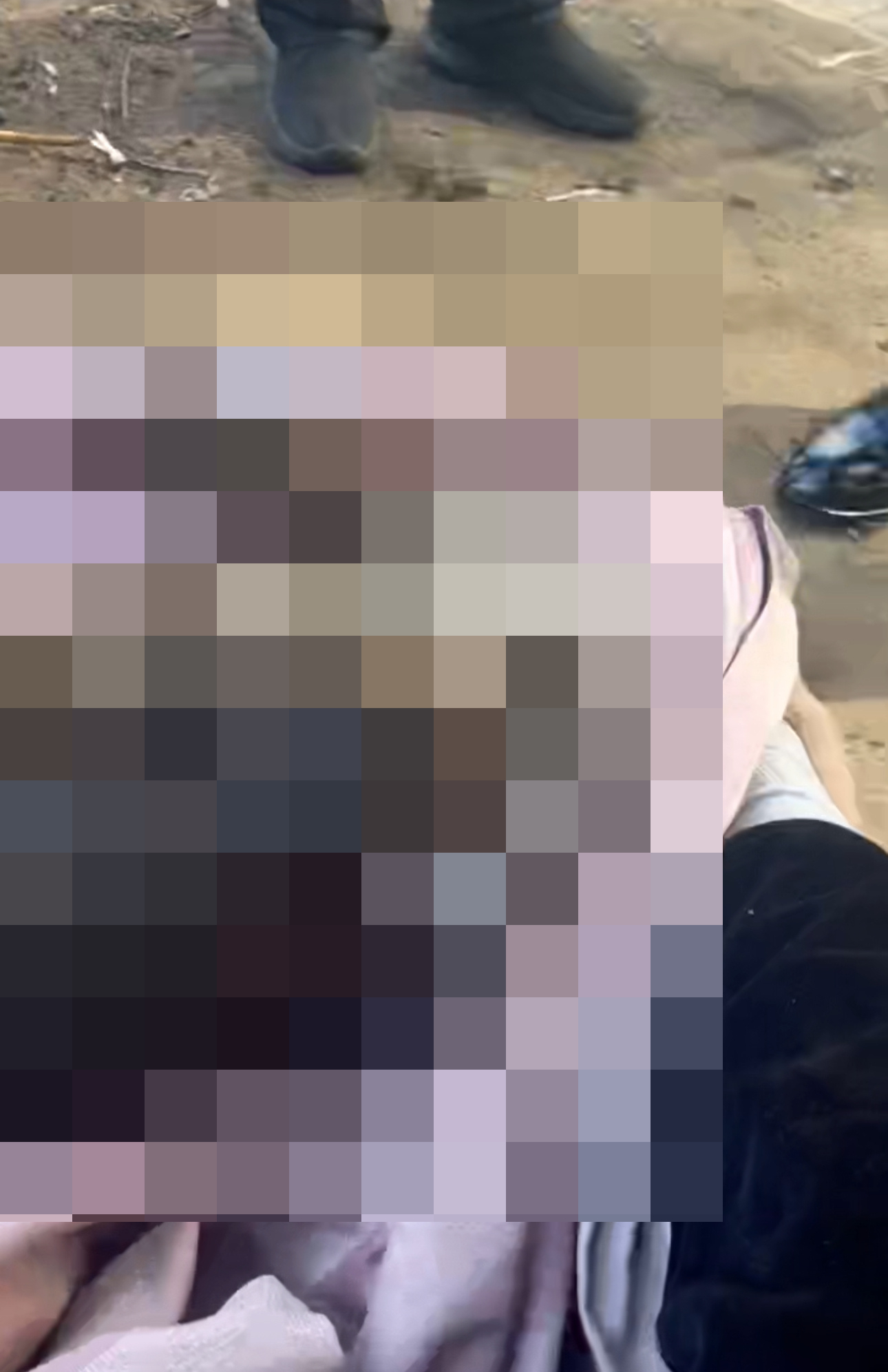 薩摩耶被活活燒死。（翻攝飼主微博）