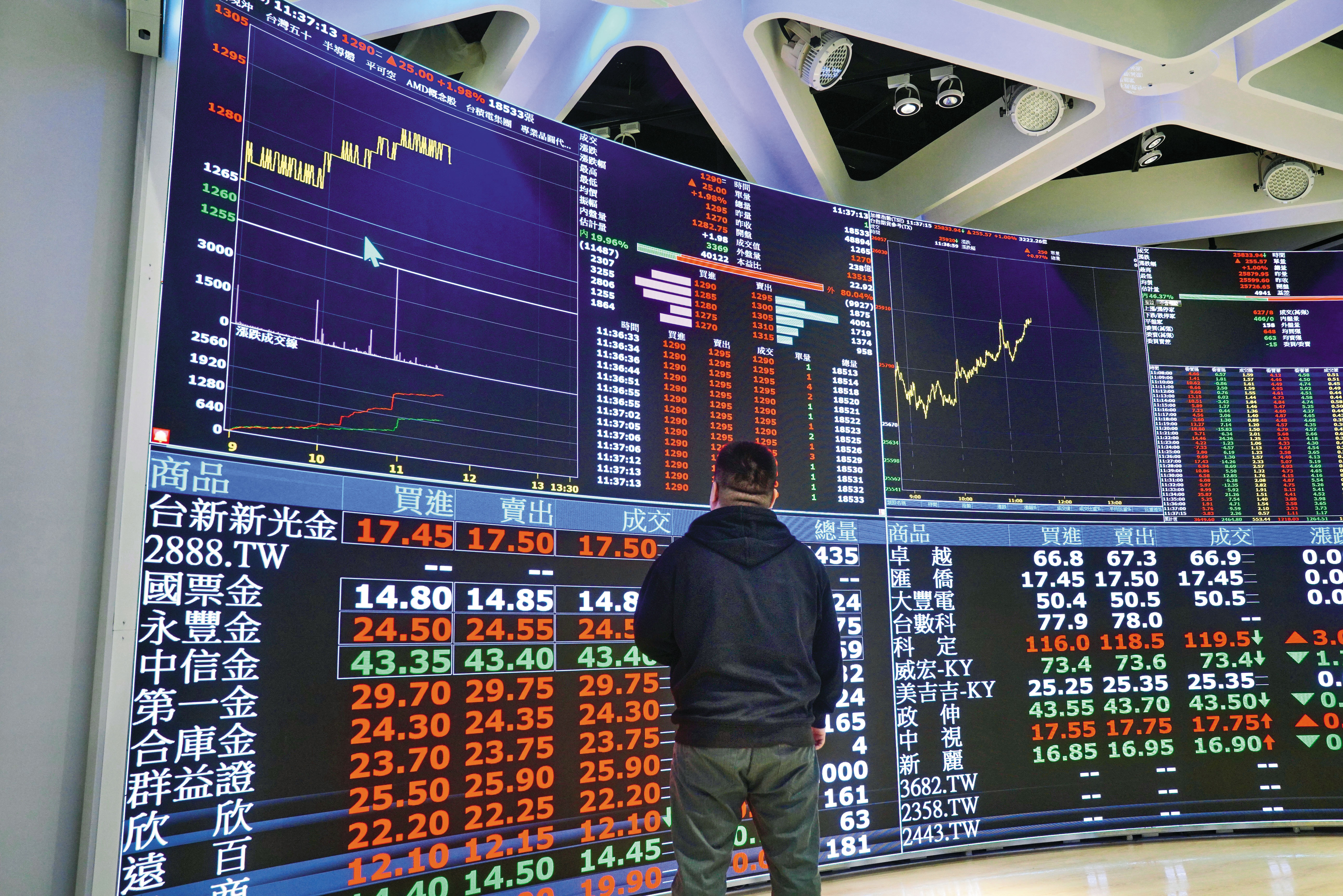 台股驚驚漲，不僅主動式ETF成為市場新寵，台股基金也表現犀利。