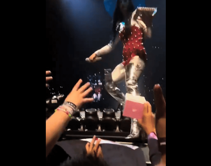 凱蒂佩芮將粉絲手上的Labubu狠狠打飛，還大喊「No Labubu！」（翻攝自X）