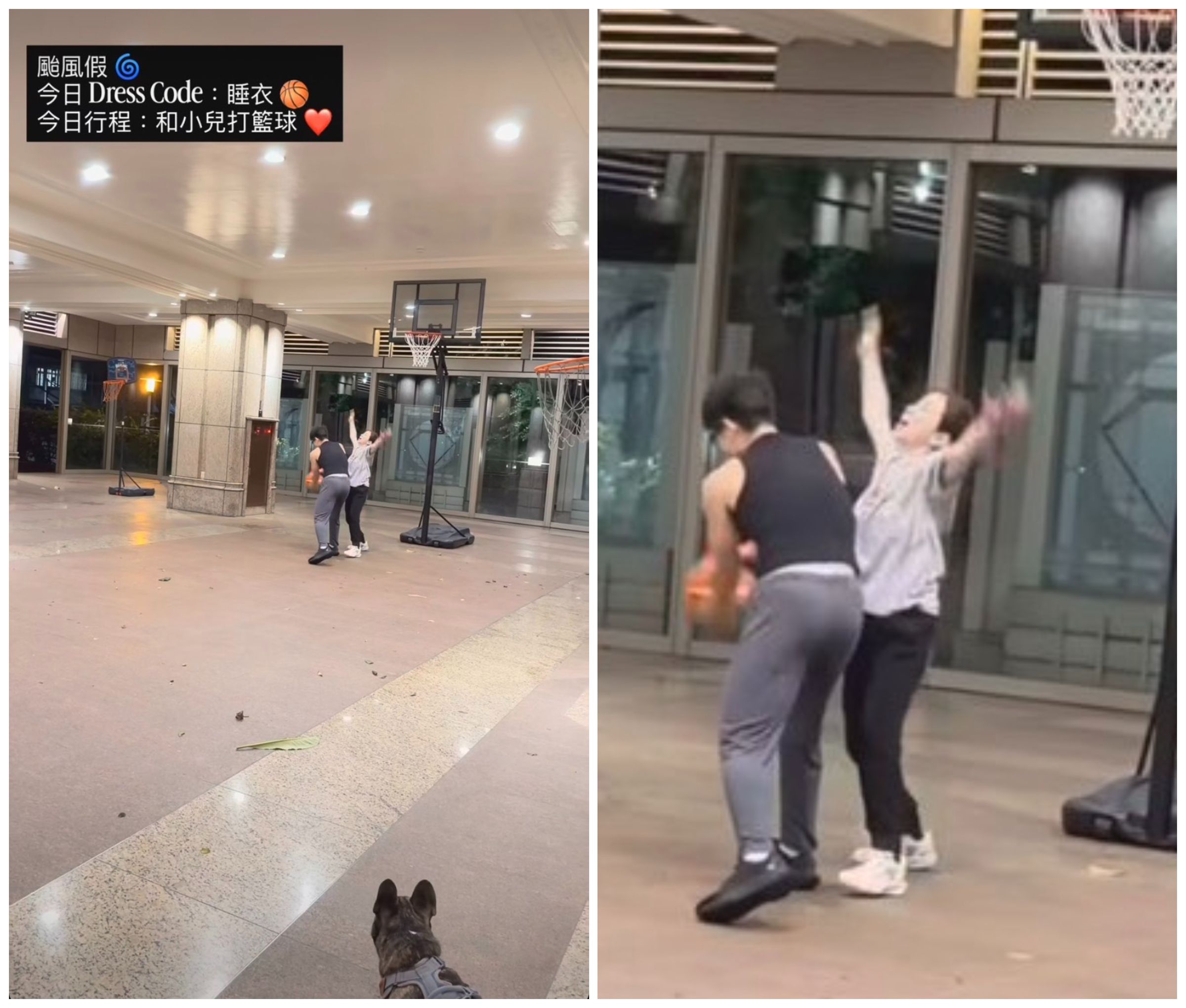 蔡依珊高舉雙手認真防守兒子,一旁還有愛犬觀戰。(翻攝蔡依珊IG)