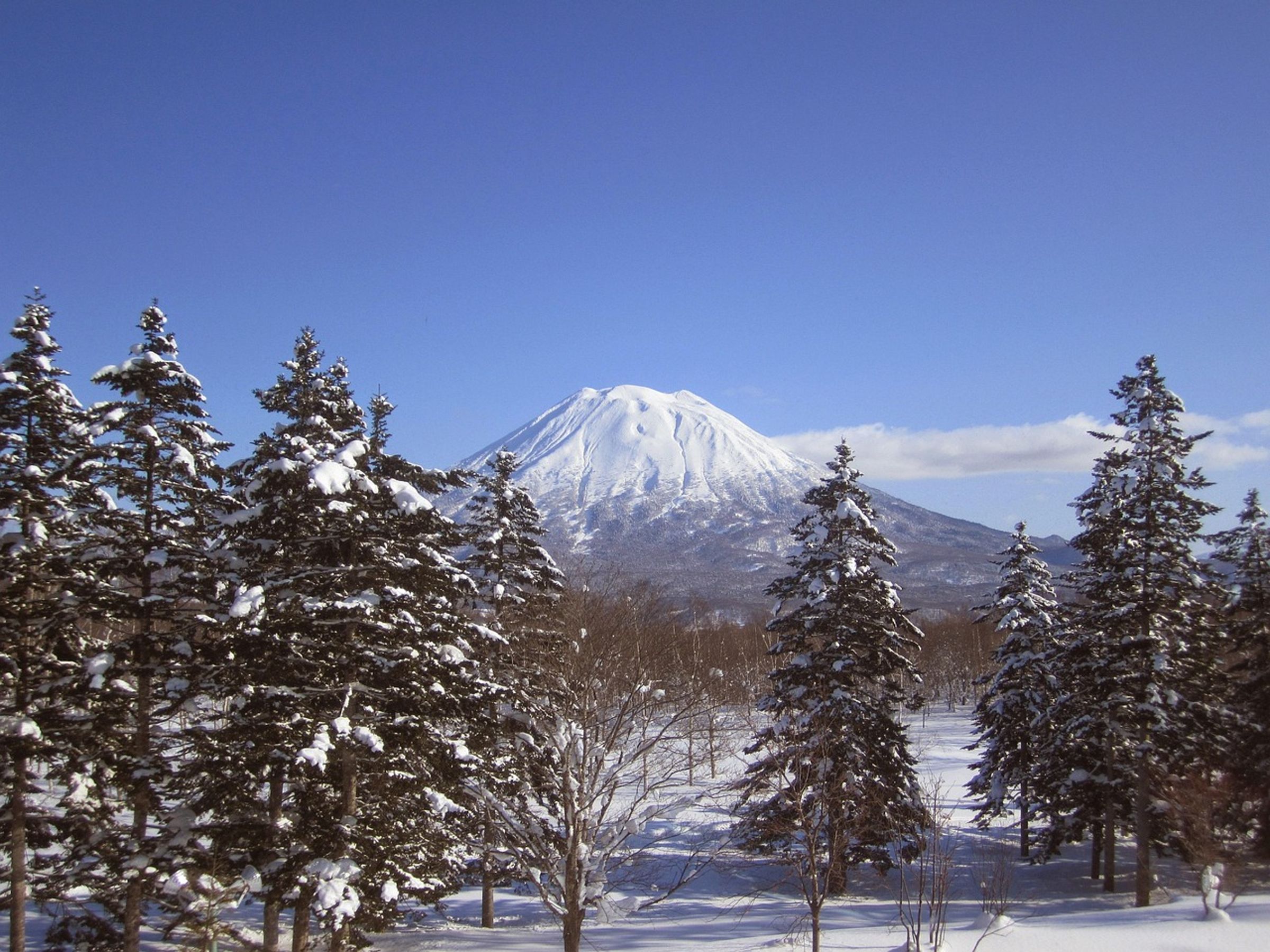 富士山現在正處於嚴格的冬季閉山期間,但一名中國遊客卻無視,強行登山。(示意圖,pixabay)