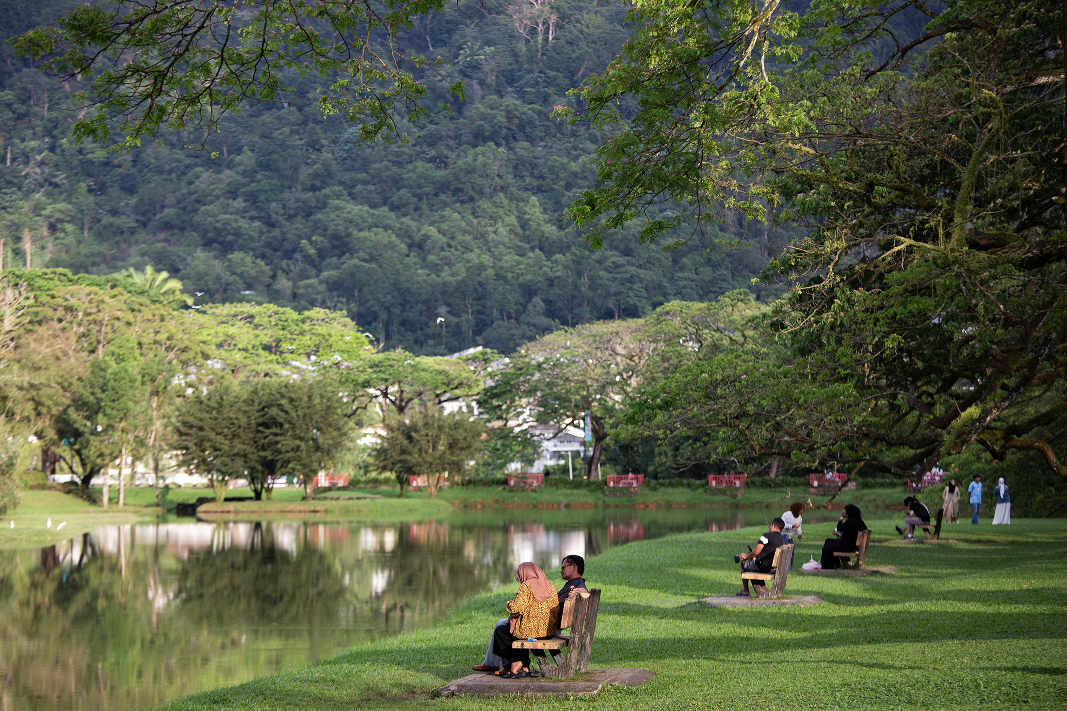 馬來西亞太平（Taiping）位於怡保與檳城之間，是一座擁有秀麗湖光山色與濃厚歷史韻味的小鎮。