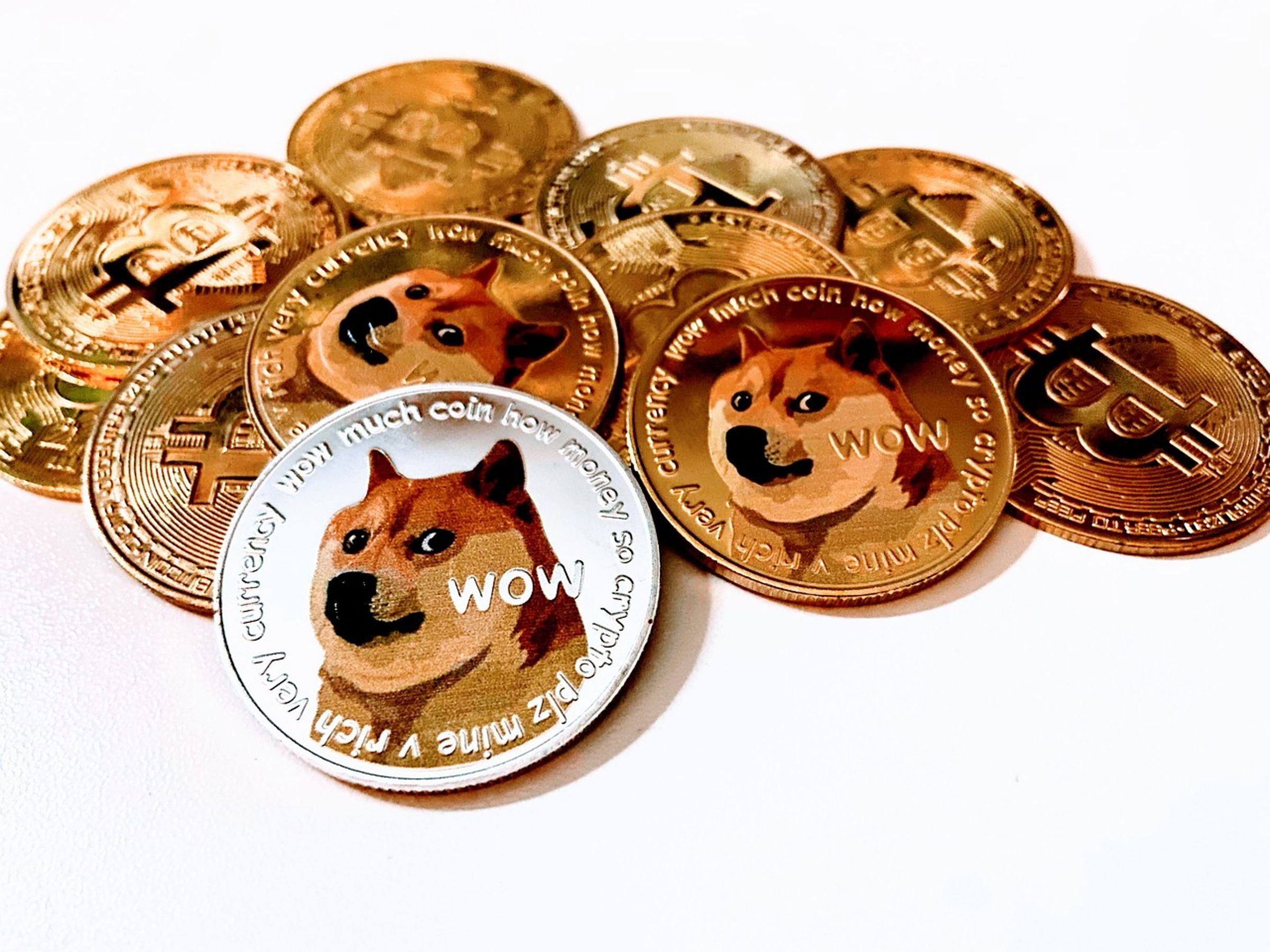 全新單位政府效率部的縮寫「DOGE」，正好就是馬斯克過去大推的「狗狗幣」。（示意圖，Pixabay）