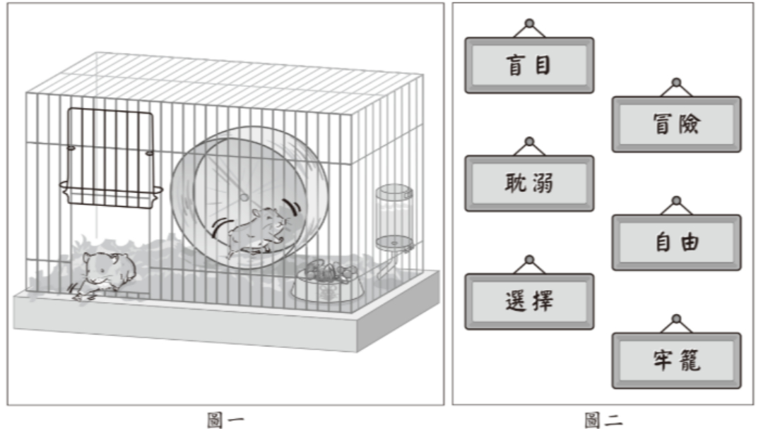 國中會考寫作趨勢變了？從倉鼠看自由，教授點出新考法關鍵。（台灣師大心測中心官網）