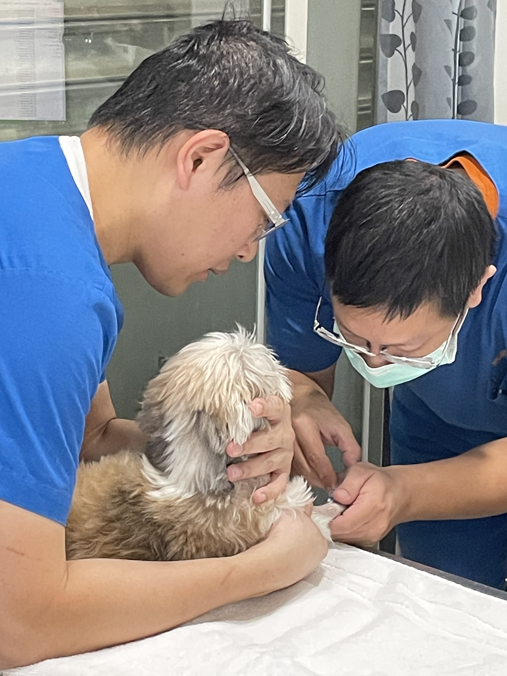 許傳忠獸醫師提醒,健檢習慣應自幼年建立,並隨生命階段調整內容,熟齡後更需依醫師建議增加頻率與項目。(法國皇家提供)