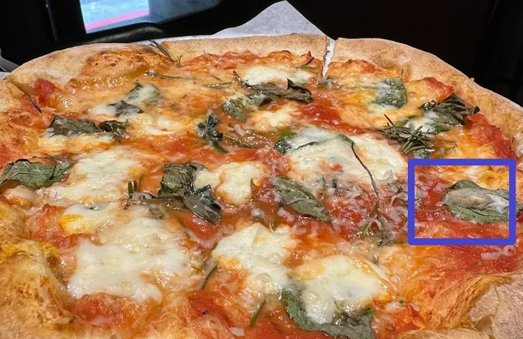 一名顧客控訴，在該家網美披薩店用餐時發現披薩上有毛毛蟲，但店家處理方式讓她十分不滿。（翻攝自google評論）