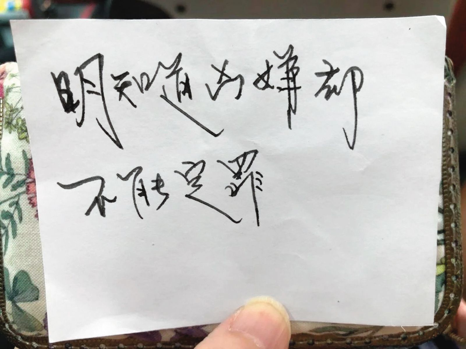 承辦檢警以紙條寫下對小芬命案的想法，藉此紓解心中多年的遺憾。（翻攝東森新聞）