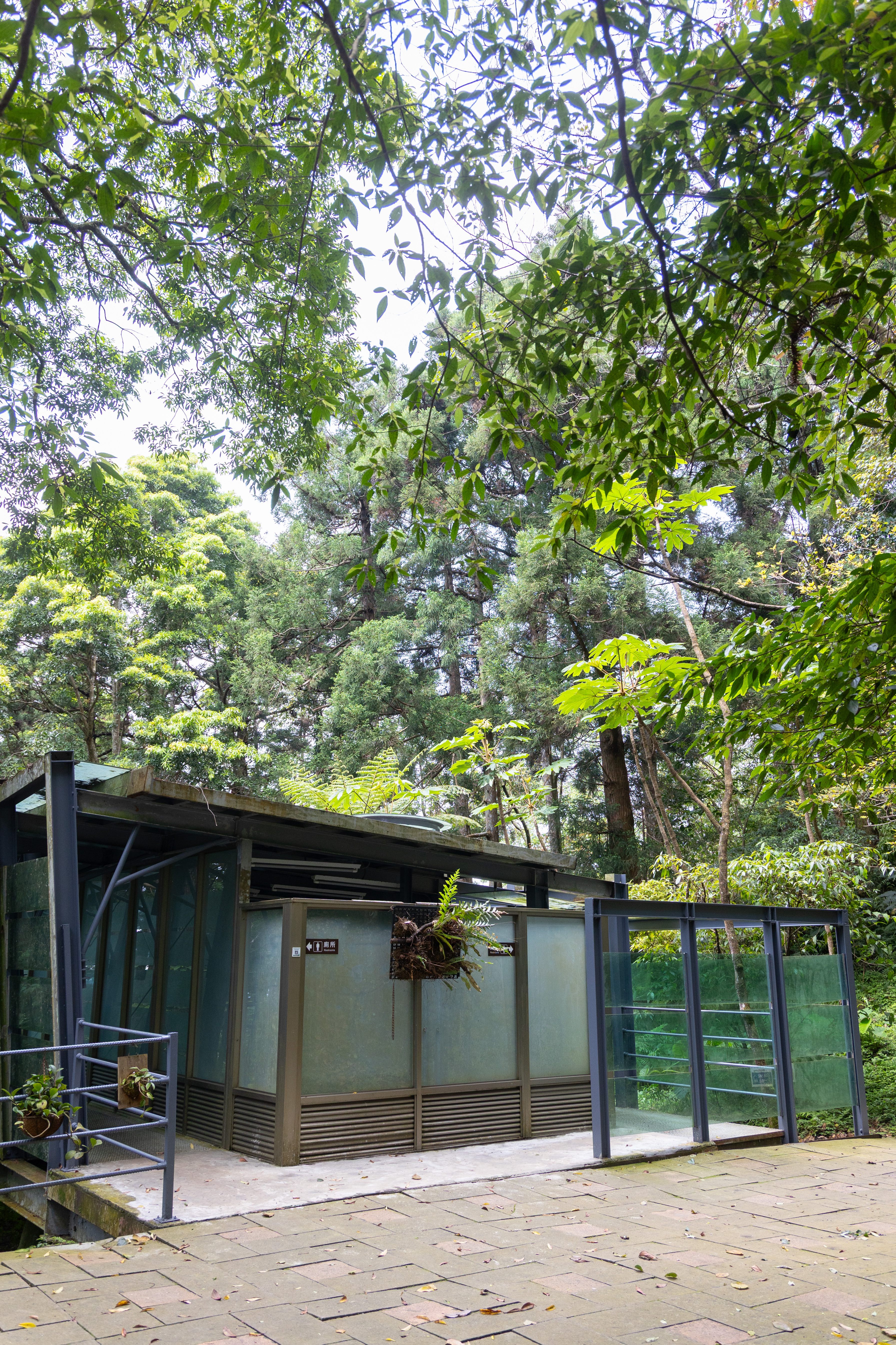 東眼山的公廁由建築師廖偉立所設計，以輕量架高與半透明量體融入林間環境。