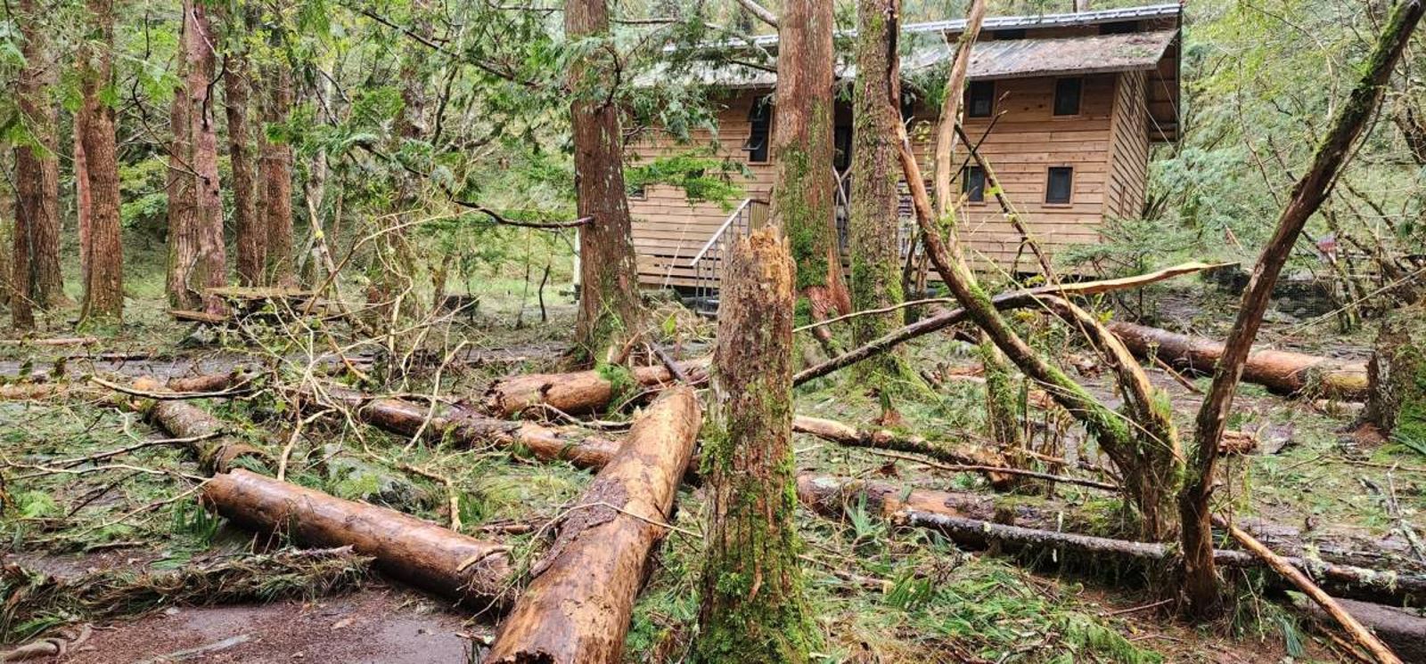 地震颱風毀步道！太管處籲民眾勿入封閉區域　違者可罰3千元