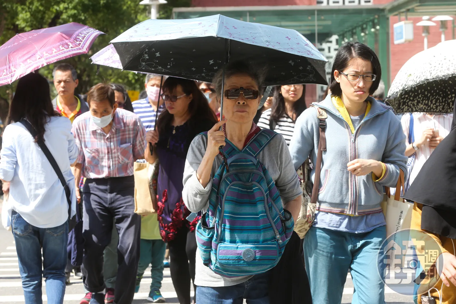 今年首發高溫警示，台南亮黃色燈號「上看36度」。（本刊資料照）
