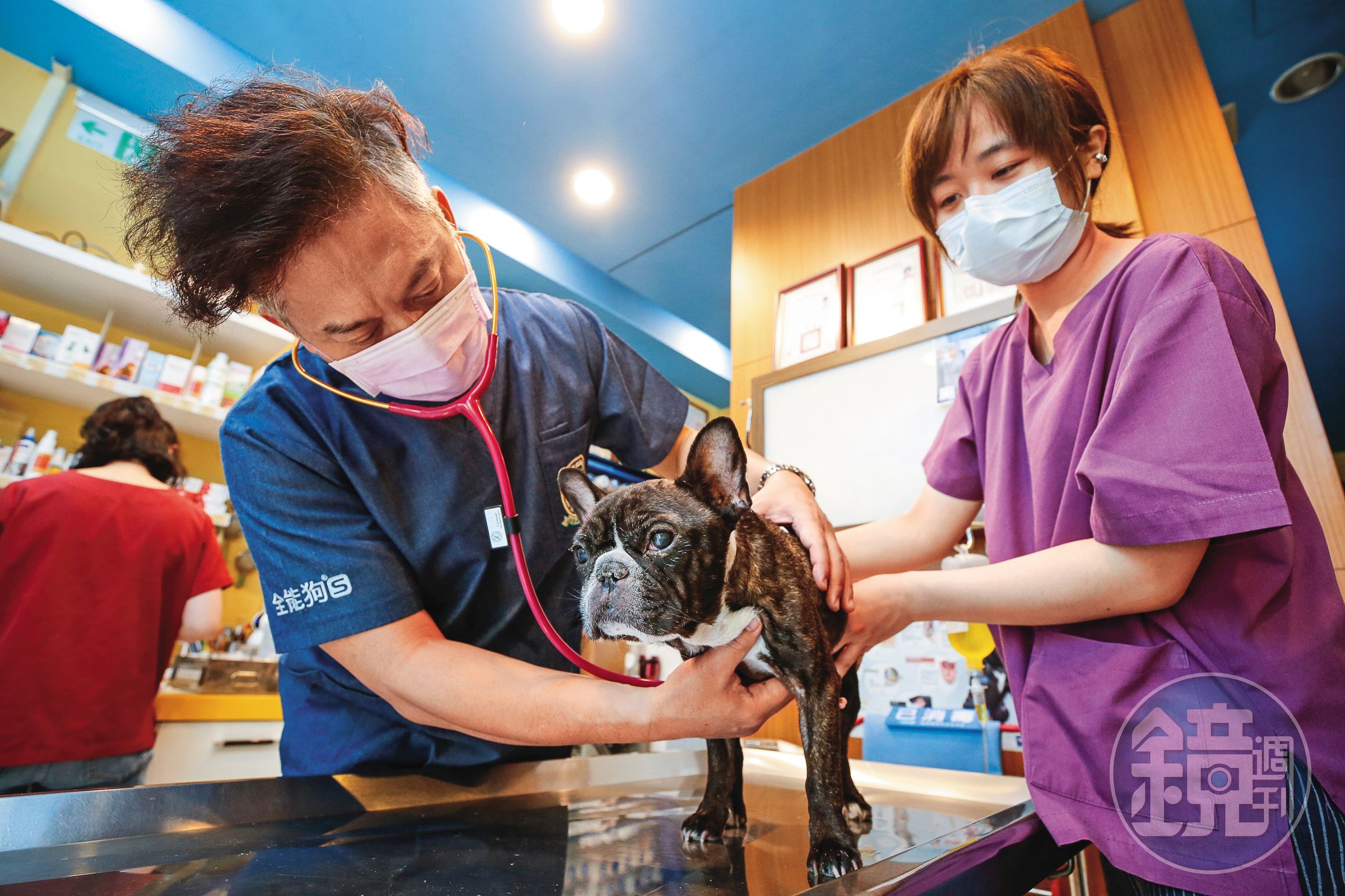 寵物零售店面走向服務整合、複合式經營。