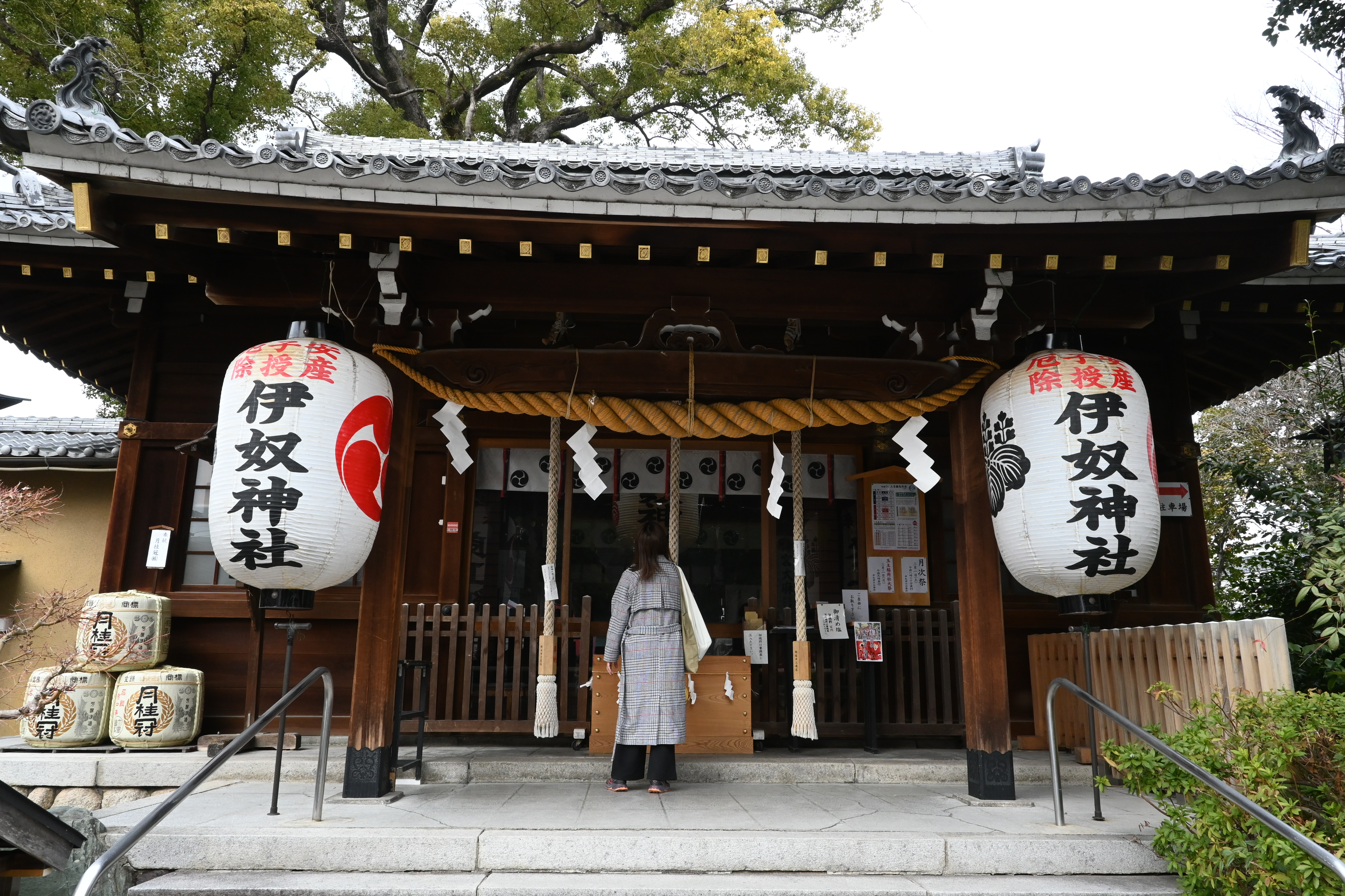 東京有貓派天堂豪德寺，狗派可以朝聖位於名古屋的「伊奴神社」。