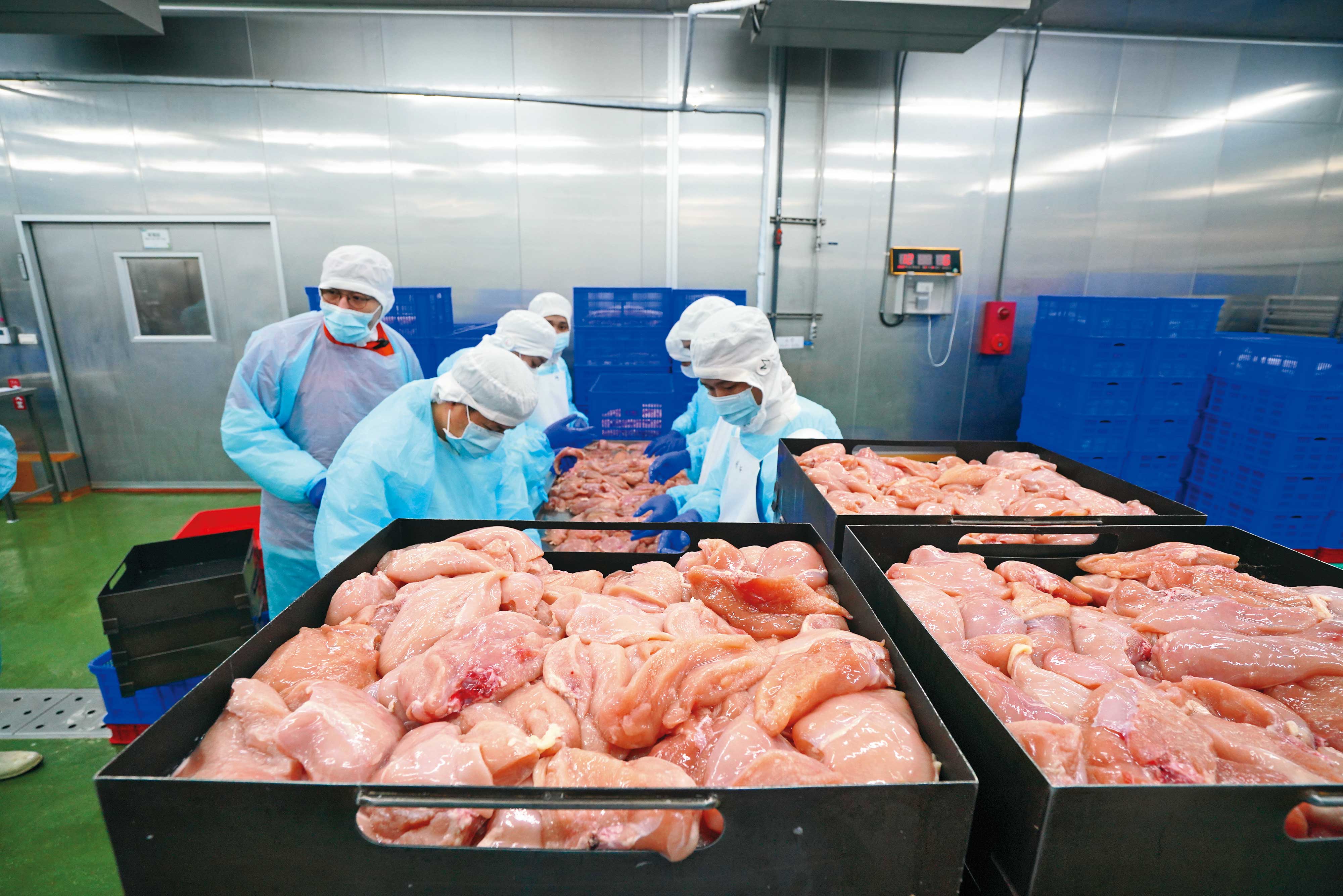 汪喵星球以人食級雞肉製作罐頭，不加肉粉，雞肉過金檢機、X光機後，還得經雙重人工檢驗有無殘留異物。