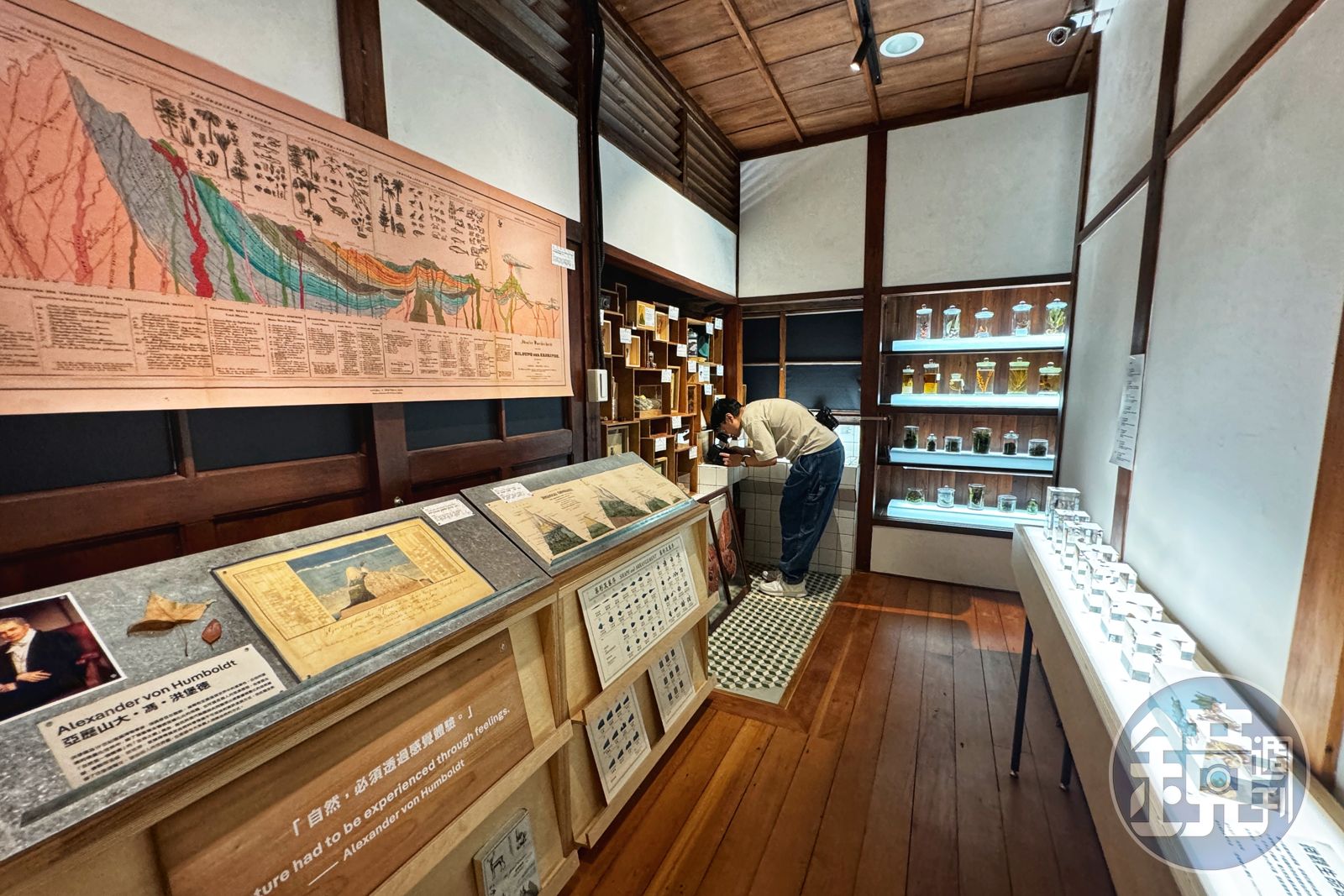 「m&sup2;」微型展引入許多台灣大學植物標本館的許多學術資源，就像是一座小型博物館。（圖／鏡週刊）