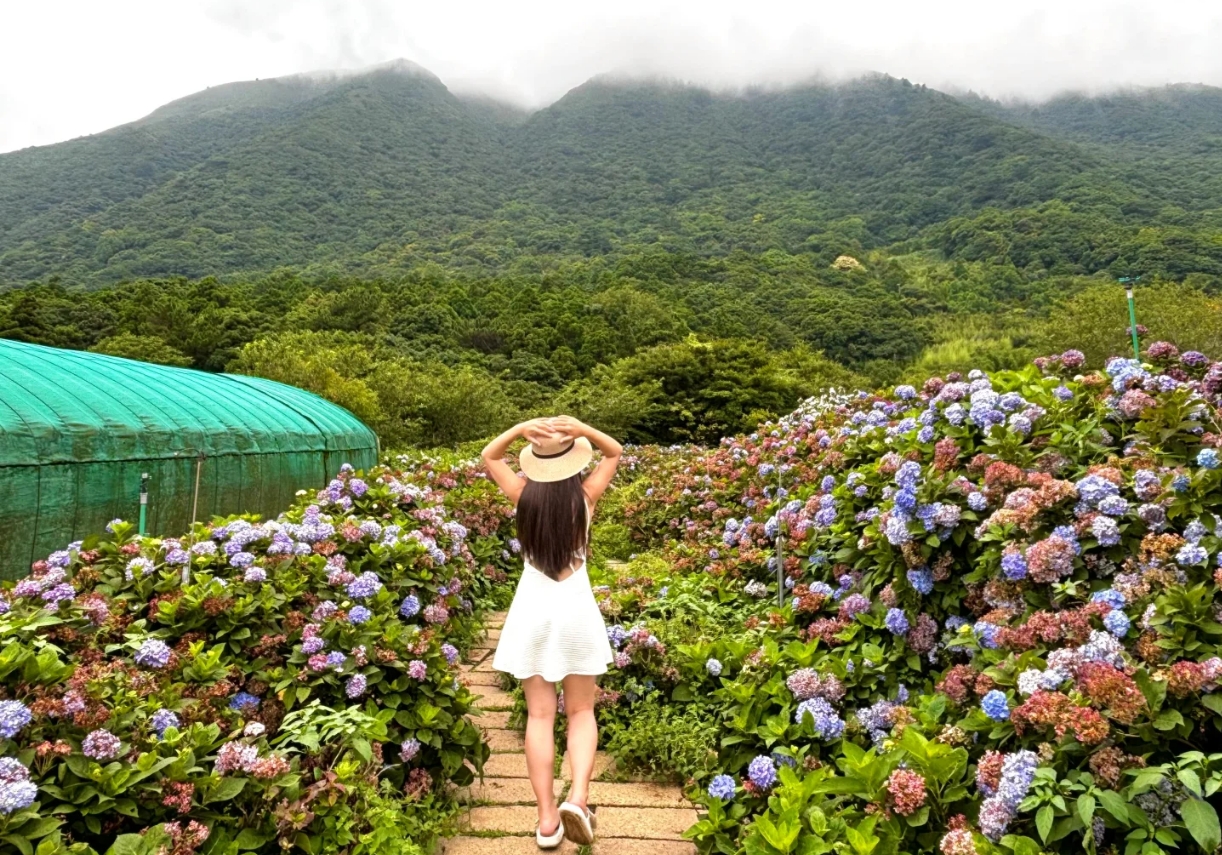 有位中國人妻來台灣旅遊一個月後，稱讚「台灣很好」，不小心胖了6公斤，不過她也抱怨起「下次不來了」的原因。（翻攝自飛飛YF 小紅書）
