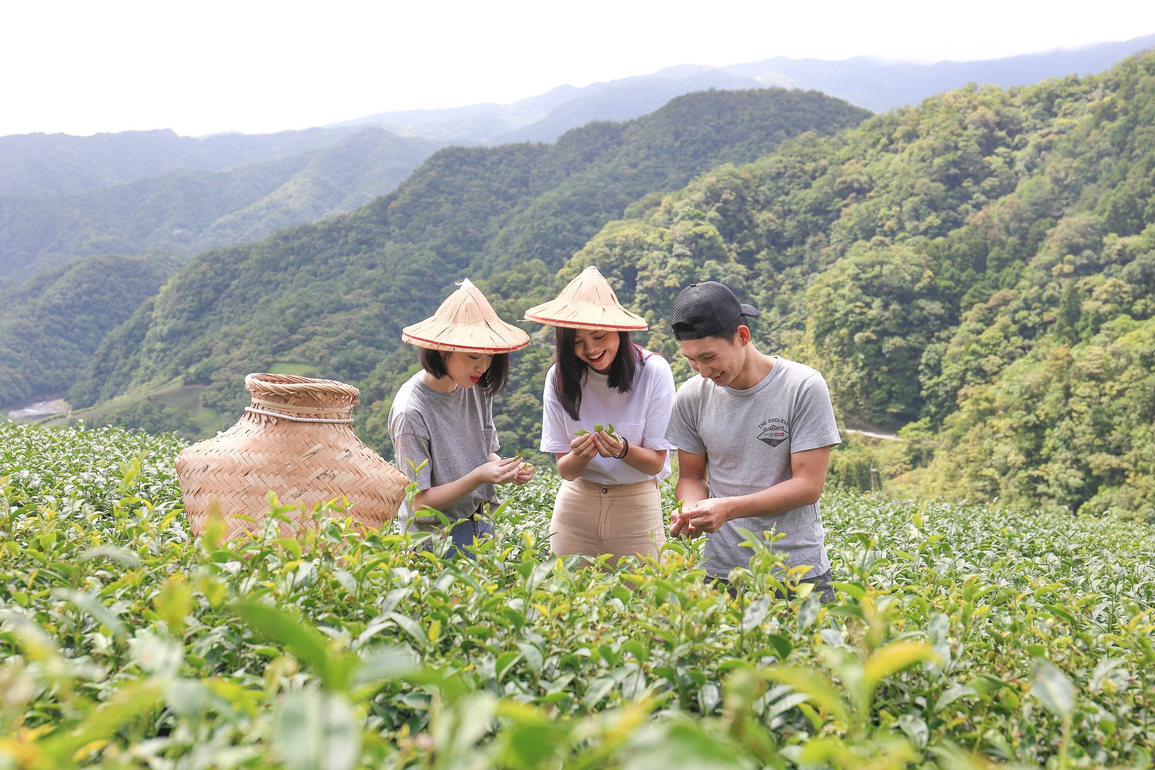 坪林的文山包種茶是一種香氣幽雅飄逸的清茶，展現「香、濃、醇、韻、美」5大特色，也是青年蔡威德（右）想要積極向國際推廣的茶款之一。（蔡威德提供）