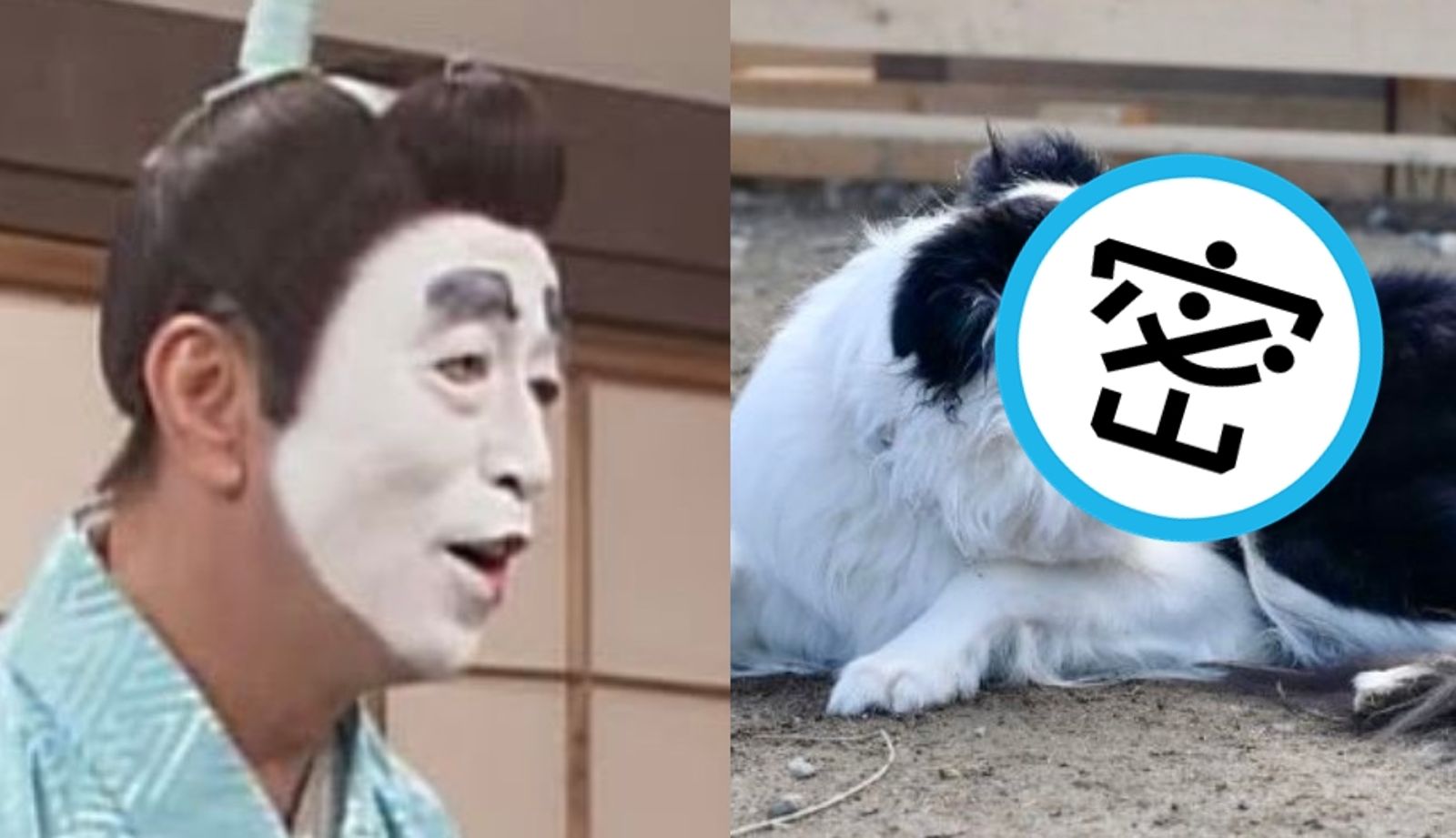 近來日本因有隻狗狗神還原志村健的經典造型而引發網路熱議。（圖／翻攝自X@nttcocomo）