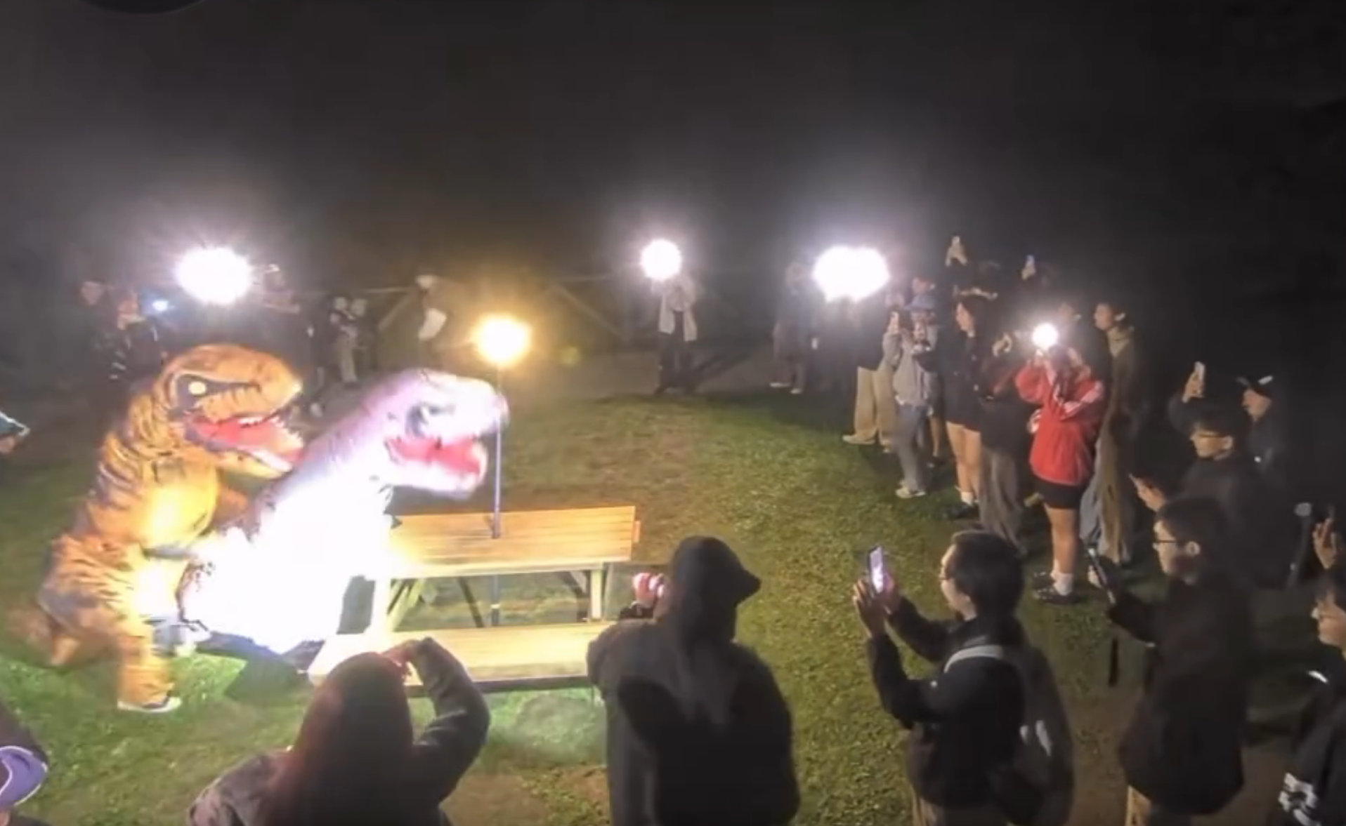 民眾穿恐龍裝重現情侶野戰場景，眾人笑翻。（翻攝YT「陽明山國家公園管理處INFO」）