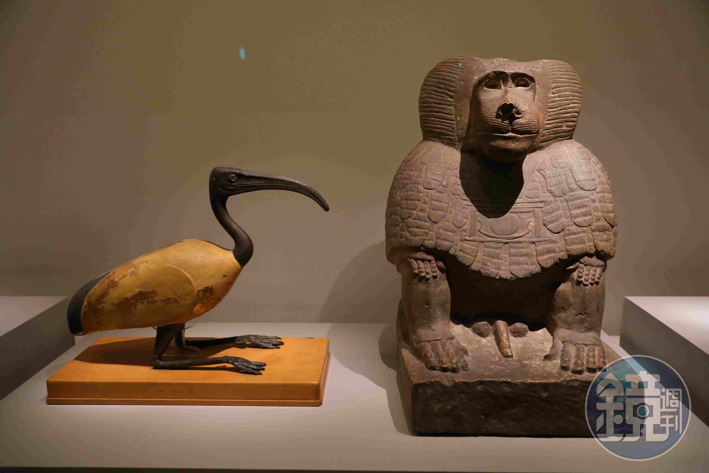 圖特是古埃及掌管月亮、醫學和智慧的神祇，他有兩個分身，分別是狒狒與聖䴉，因為狒狒在日夜交替時會發出叫聲，而聖䴉長而彎曲的喙形似新月。