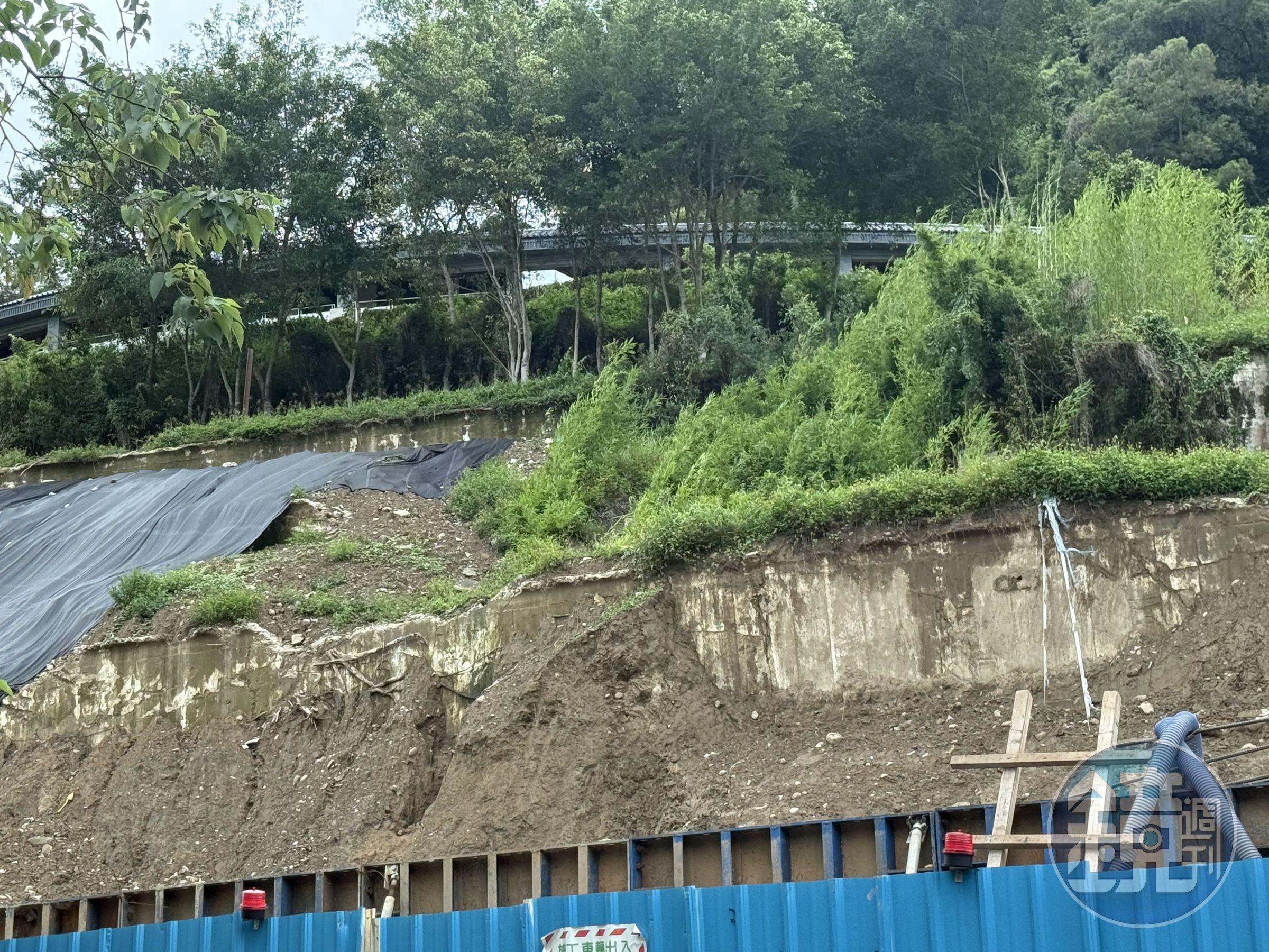 投訴者向本刊指控,太平寶山的樹被砍光。