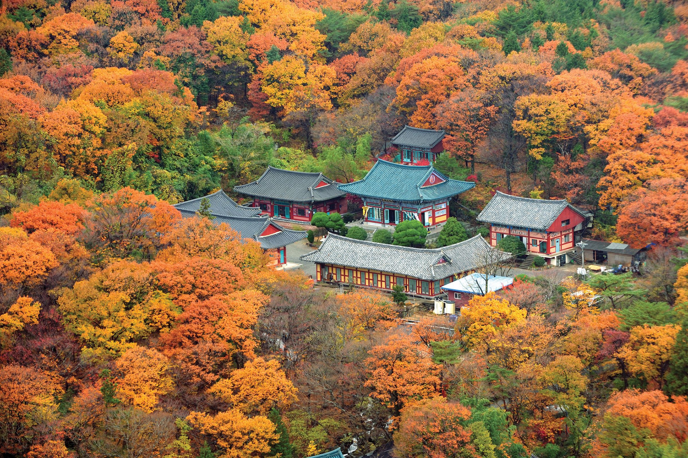 身為嶺南三大寺廟之一的梵魚寺,是釜山最著名的賞楓勝地。(韓國觀光公社提供)