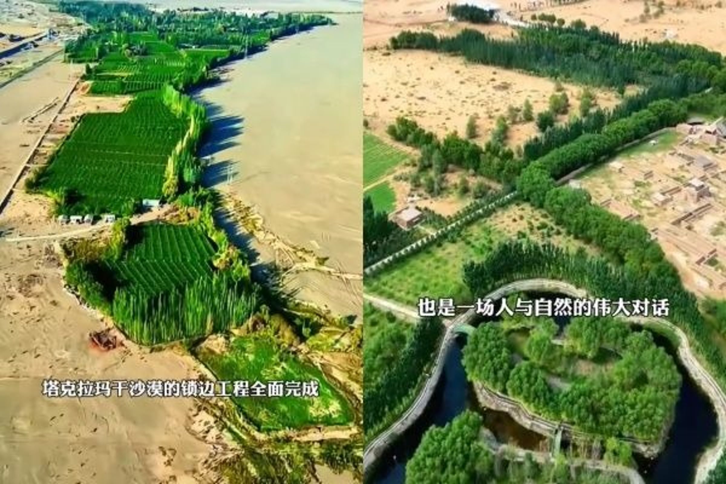 陸媒稱治毛烏素沙漠有成,已有80%以上沙區被林地、草地覆蓋。(翻攝自微薄)