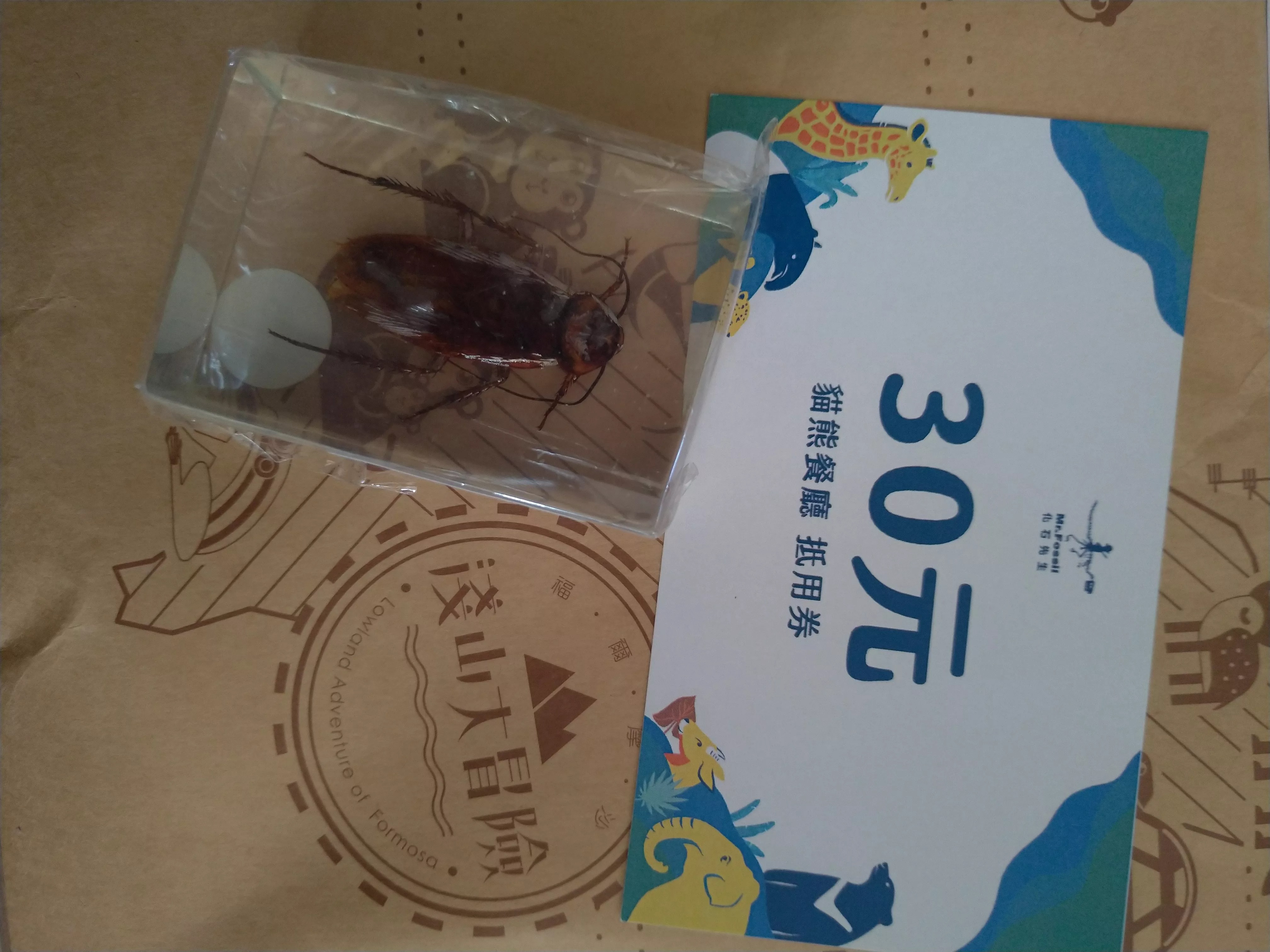 網友春節期間走訪北市動物園，拿到園方推出的刮刮樂並刮中「斑馬獎」，結果禮物拆開是隻小強標本和抵用券…（翻攝自threads@ginatachang）