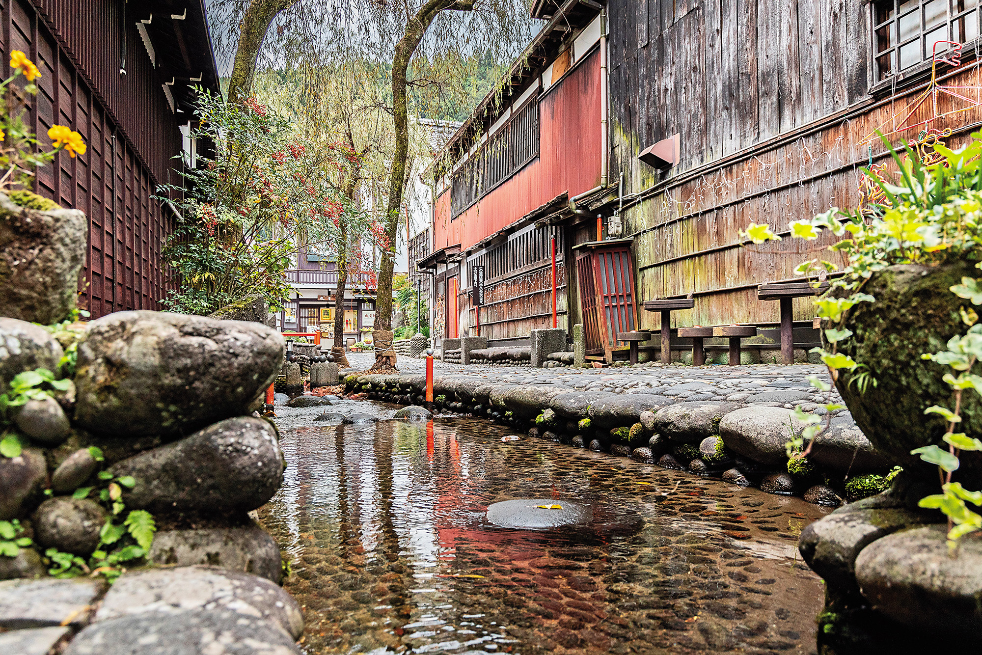 郡上八幡因「町家與水利設施合而為一的歷史風景」被列為保存區，街道上到處都能看到水路小徑。