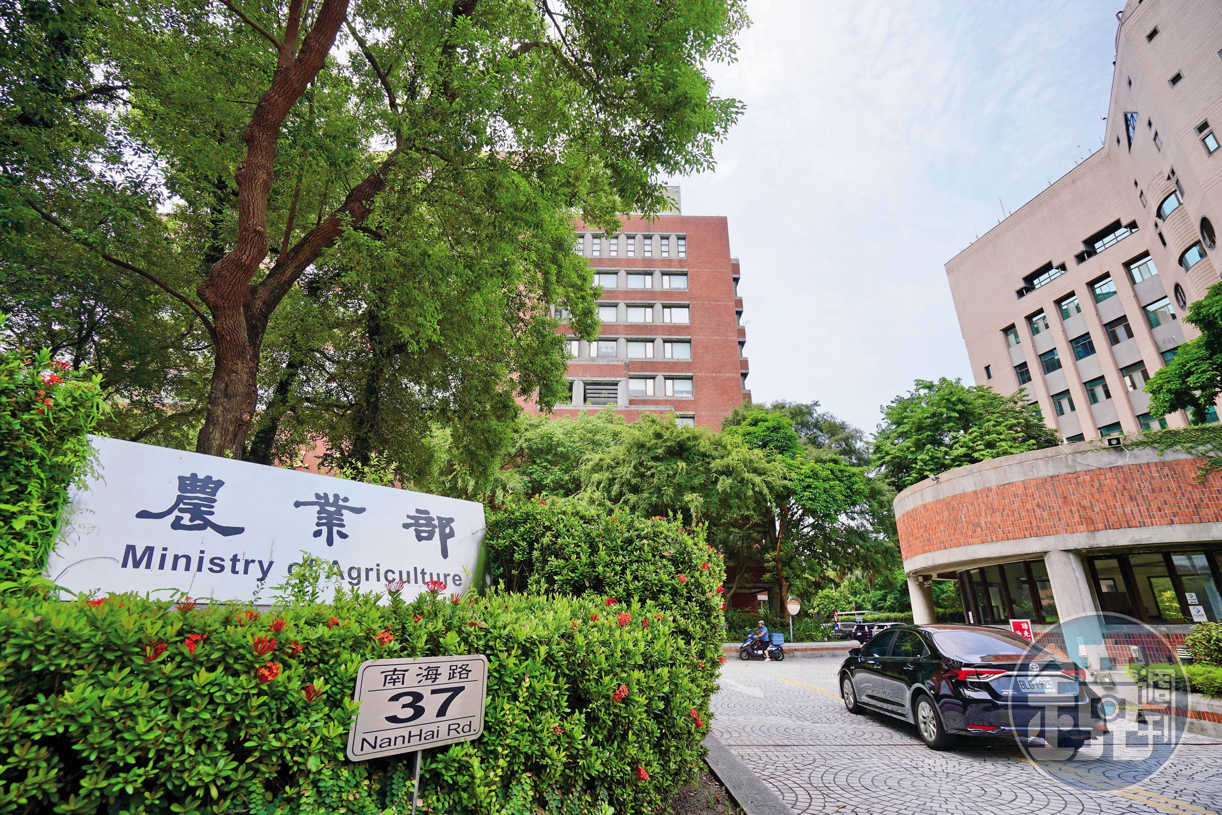 農業部政策改變，要求漁電共生業者必須養完魚後，才准讓太陽能電廠併網。