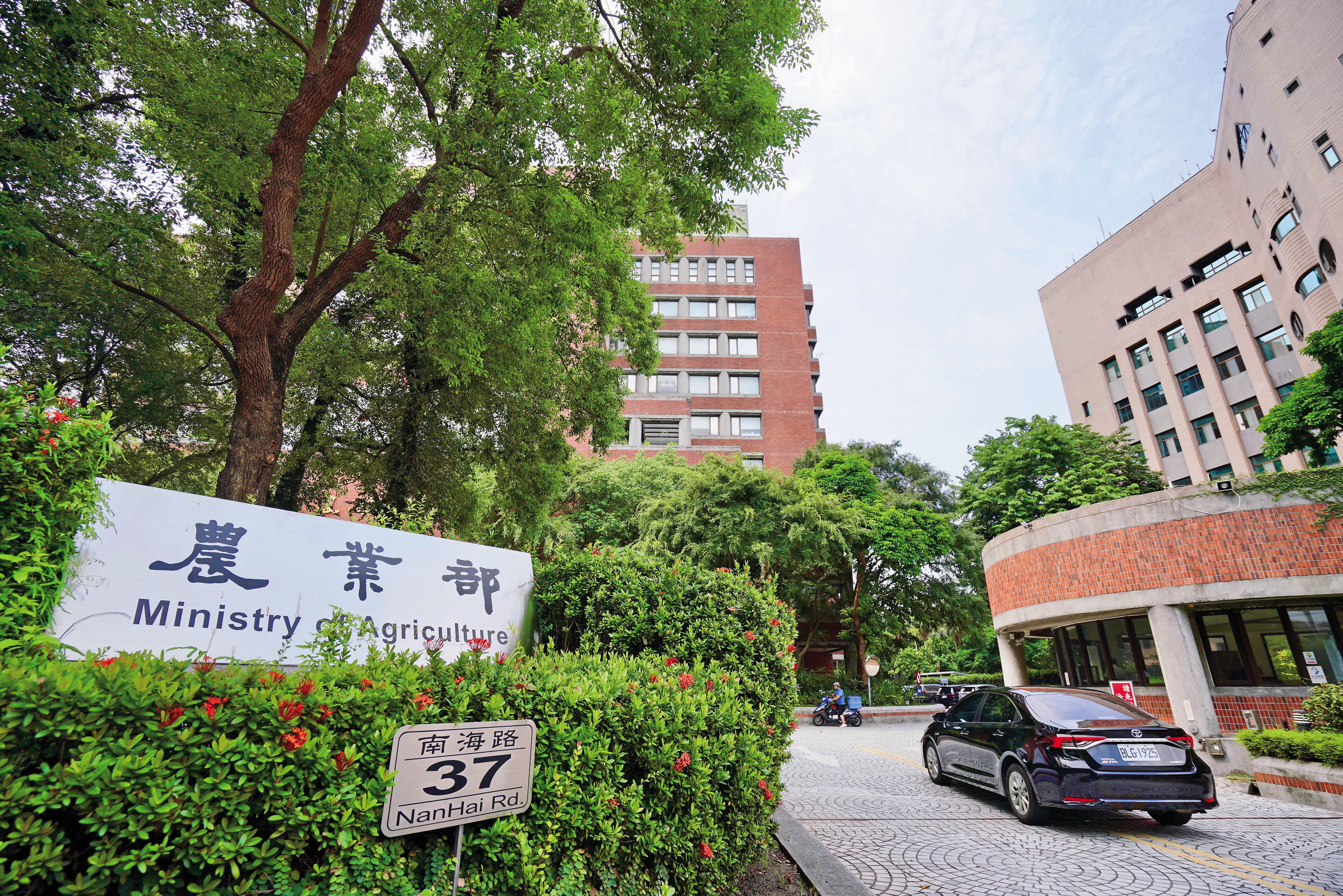 農業部政策改變，要求漁電共生業者必須養完魚後，才准讓太陽能電廠併網。