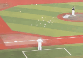 11日日職羅德對軟銀的比賽中，因大量小鳥飛進球場造成比賽中斷。（翻攝自X）