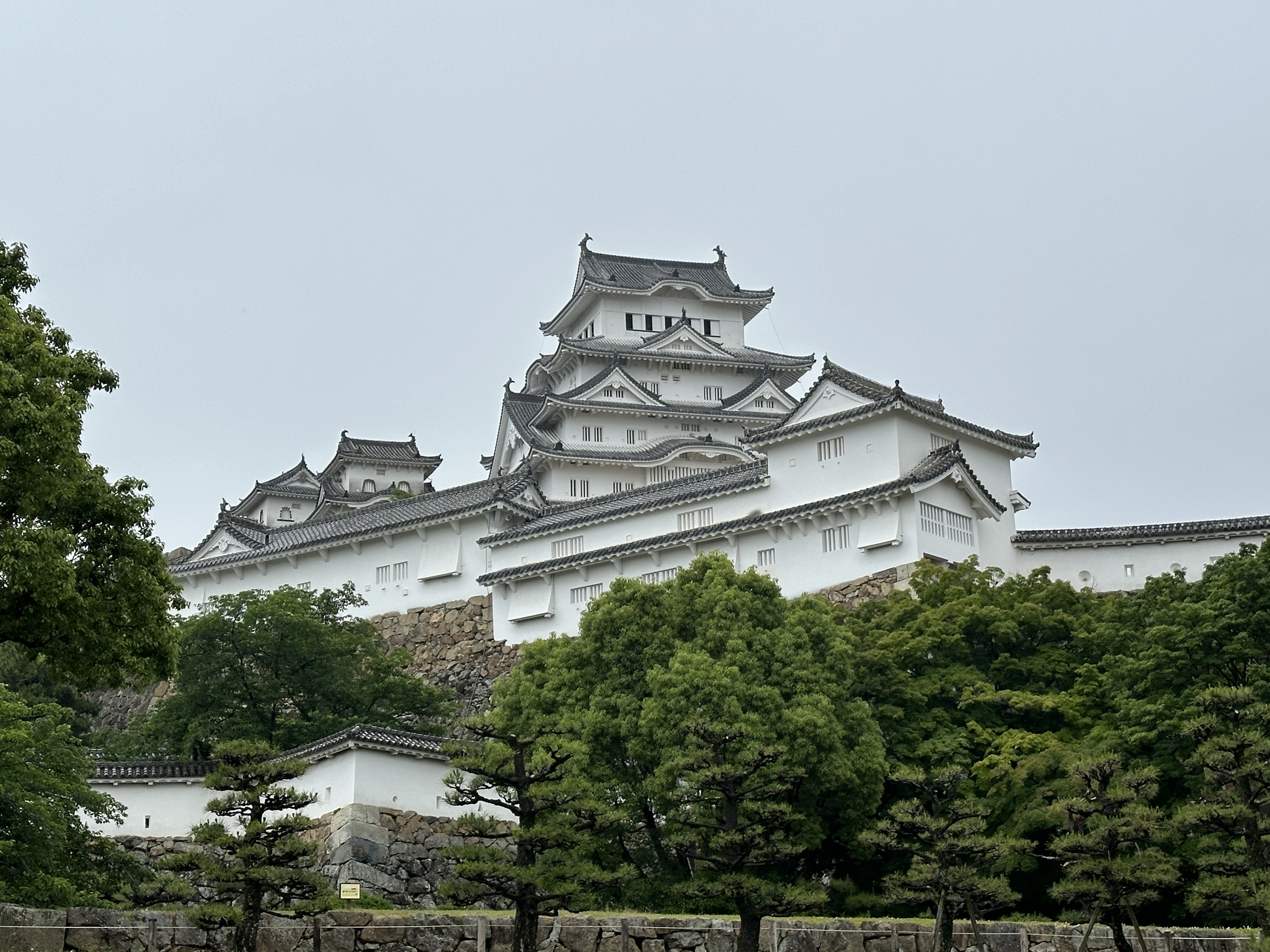 遊日注意！名勝「姬路城」門票欲針對外國人調漲，比當地人貴4倍。