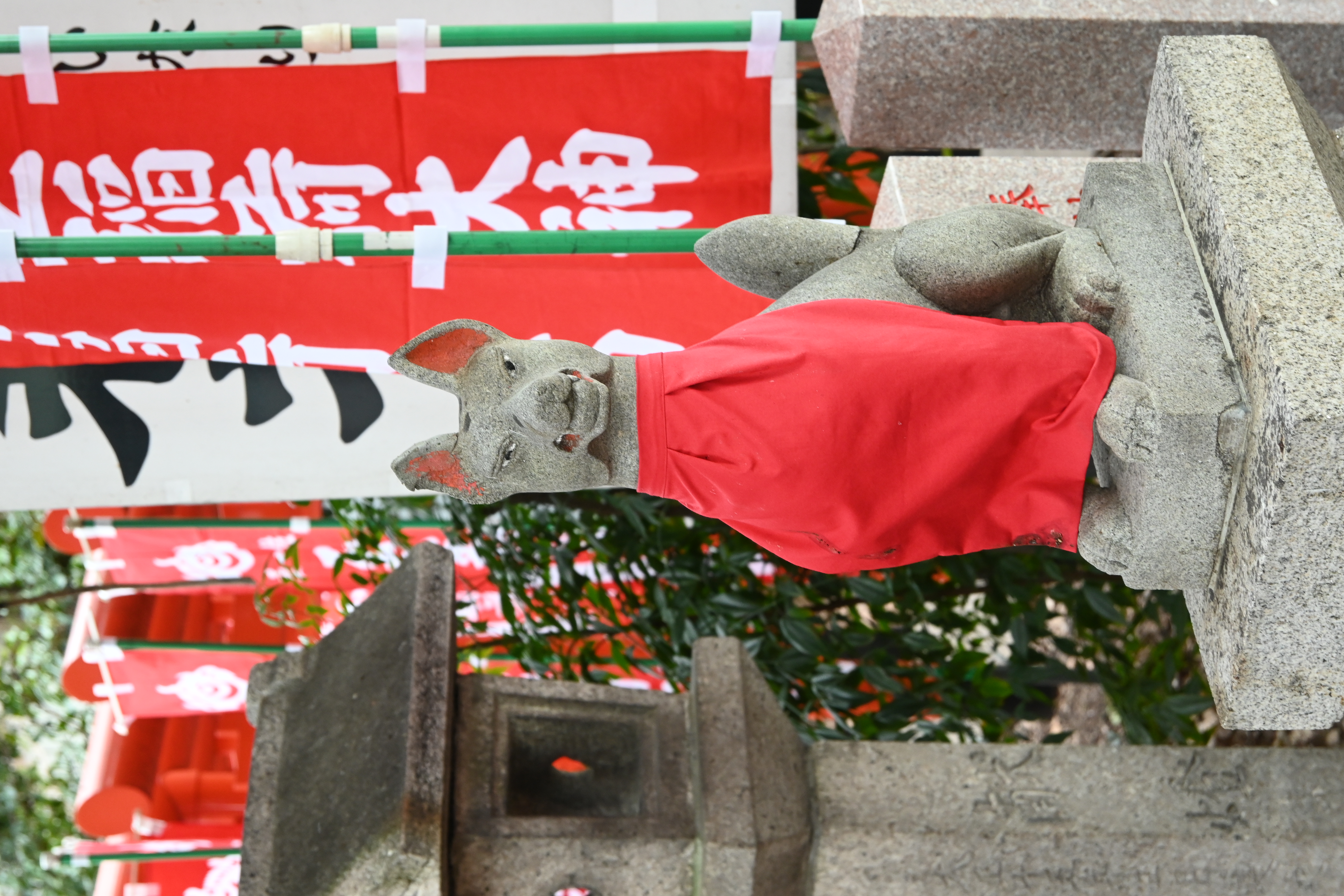 稻荷神的神使狐狸石像，狐狸與狗一樣是犬科，一點也不突兀。
