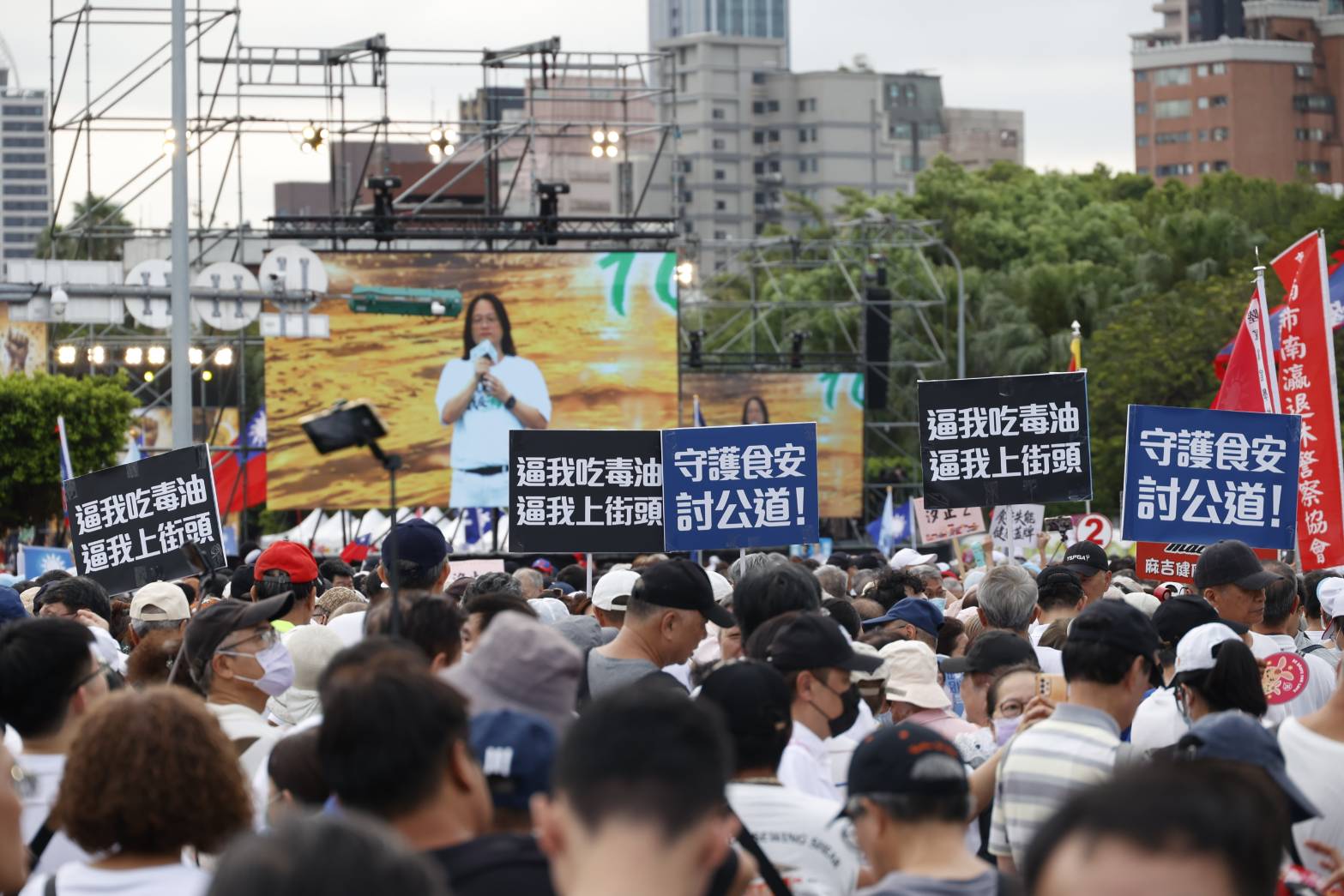 0725反毒油凱道遊行參與人數破萬，讓藍營氣勢高漲。（本刊資料照）
