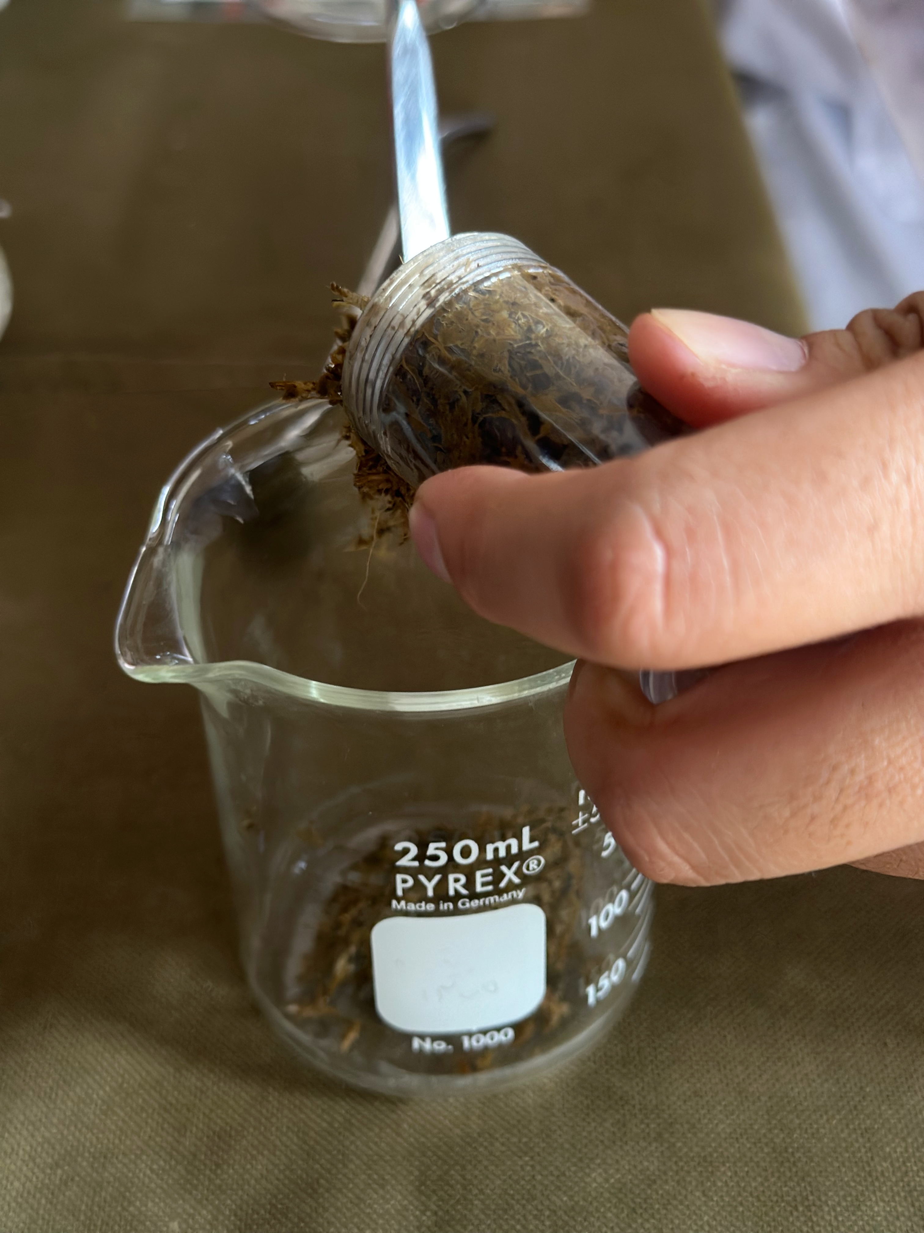 第一步驟就是開盲盒當鏟屎官，好在味道沒想像中可怕，就是極濃郁青草味。
