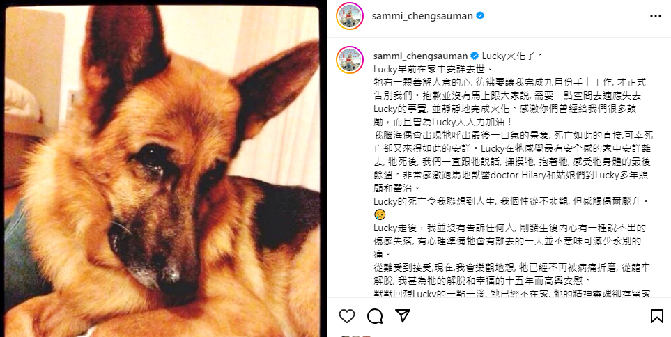 4年前,許志安婚前就開始飼養,後來成為許鄭兩人共同的「狗兒子」的Lucky病逝,鄭秀文更發了千字長文紀錄悲傷心情。(翻攝自鄭秀文IG)