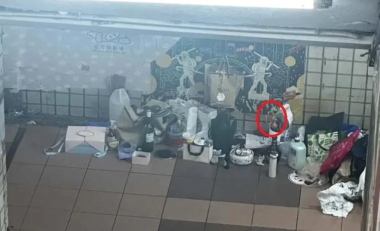 地下道當自家「掛西裝烤全雞」!遭檢舉60次也不怕 台中最狂街友驚人身分曝光