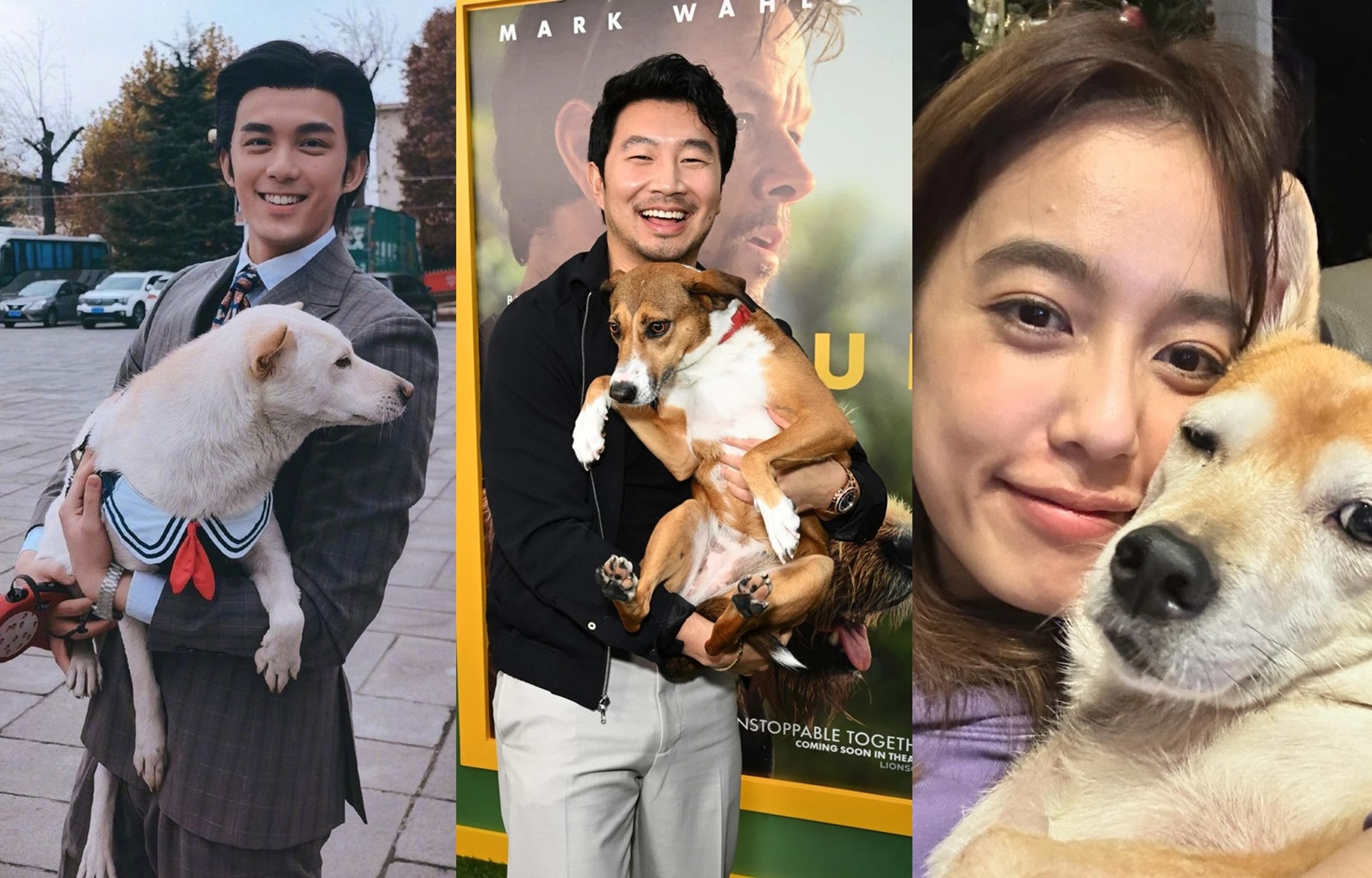 不少藝人在劇組與貓狗等動物演員結緣,之後就「收編」牠們,給牠們一個溫暖的家。(翻攝畫面)