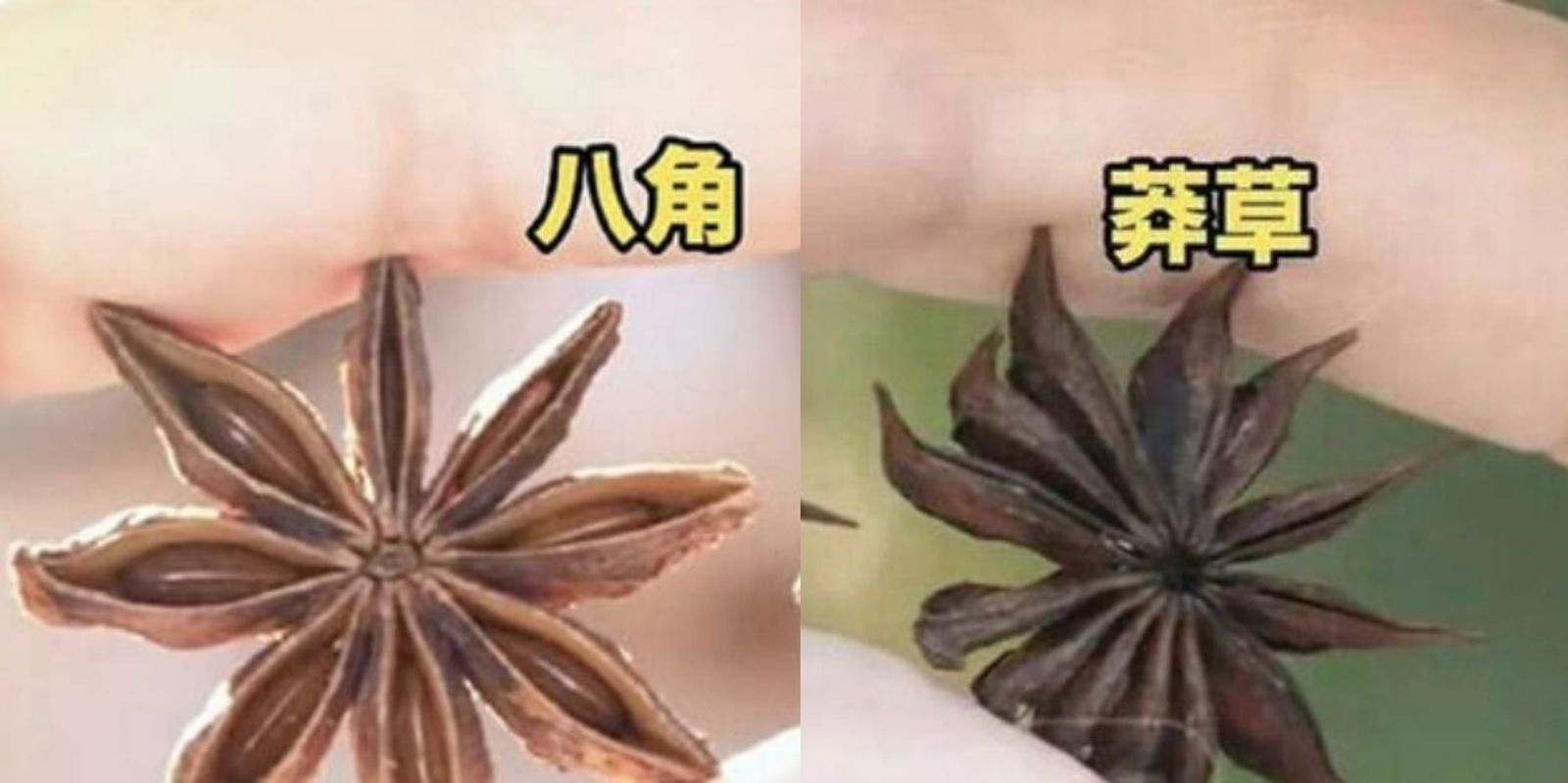 無心舉動救全家!孩吃燉肉好奇數八角「竟數出13角」 媽查出真相嚇傻:是劇毒