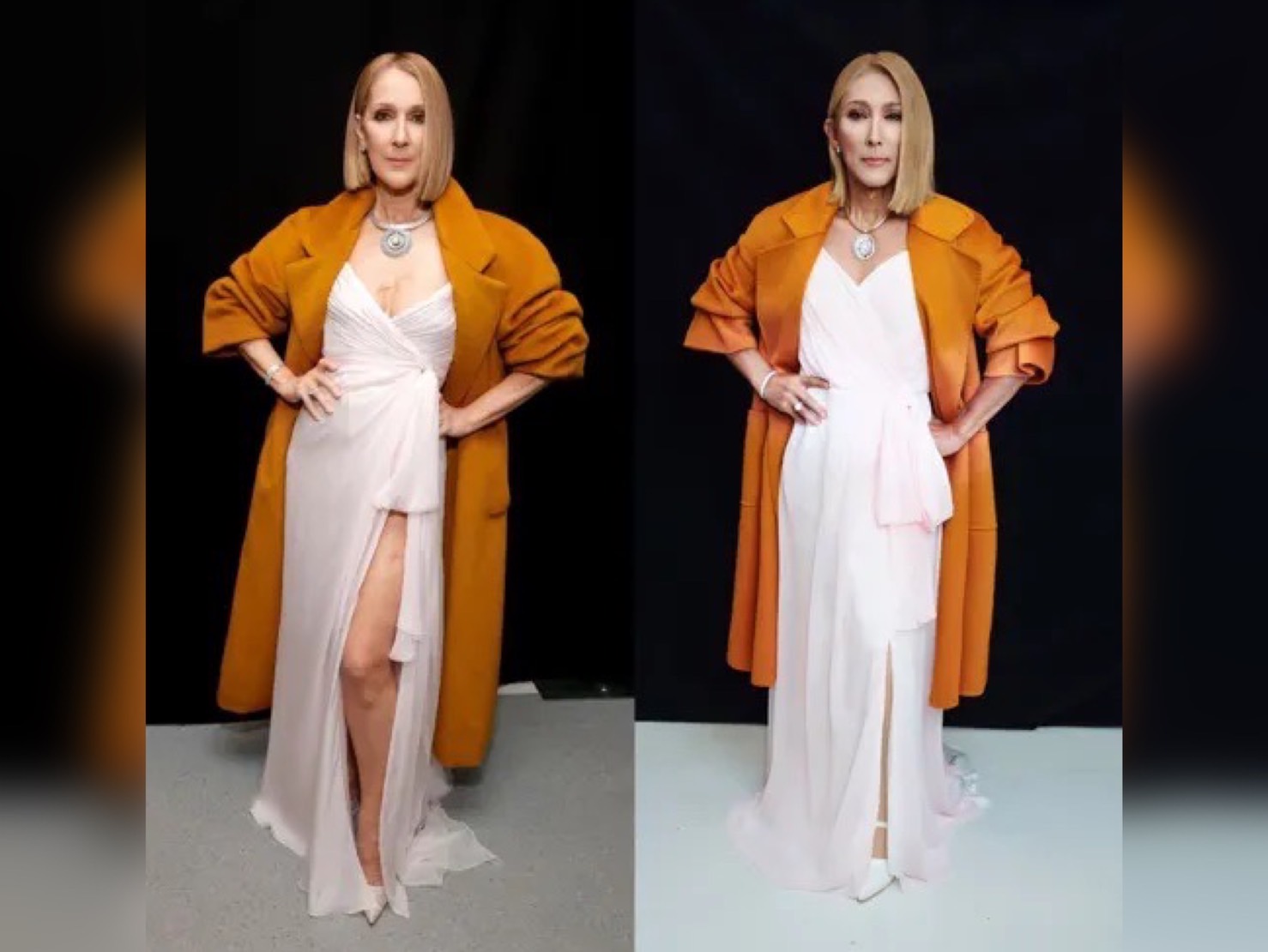 潘若迪扮成席琳狄翁，還原度百分之百。（翻攝自潘若迪臉書）