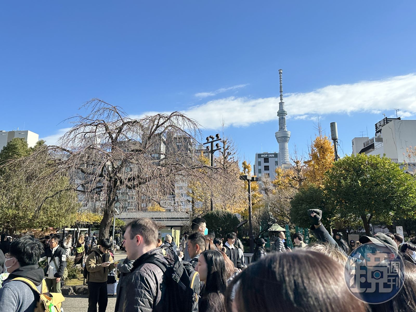 這種旅伴很雷嗎?玩日本被帶去連鎖店吃好吃滿 達人給建議:放生對彼此都好