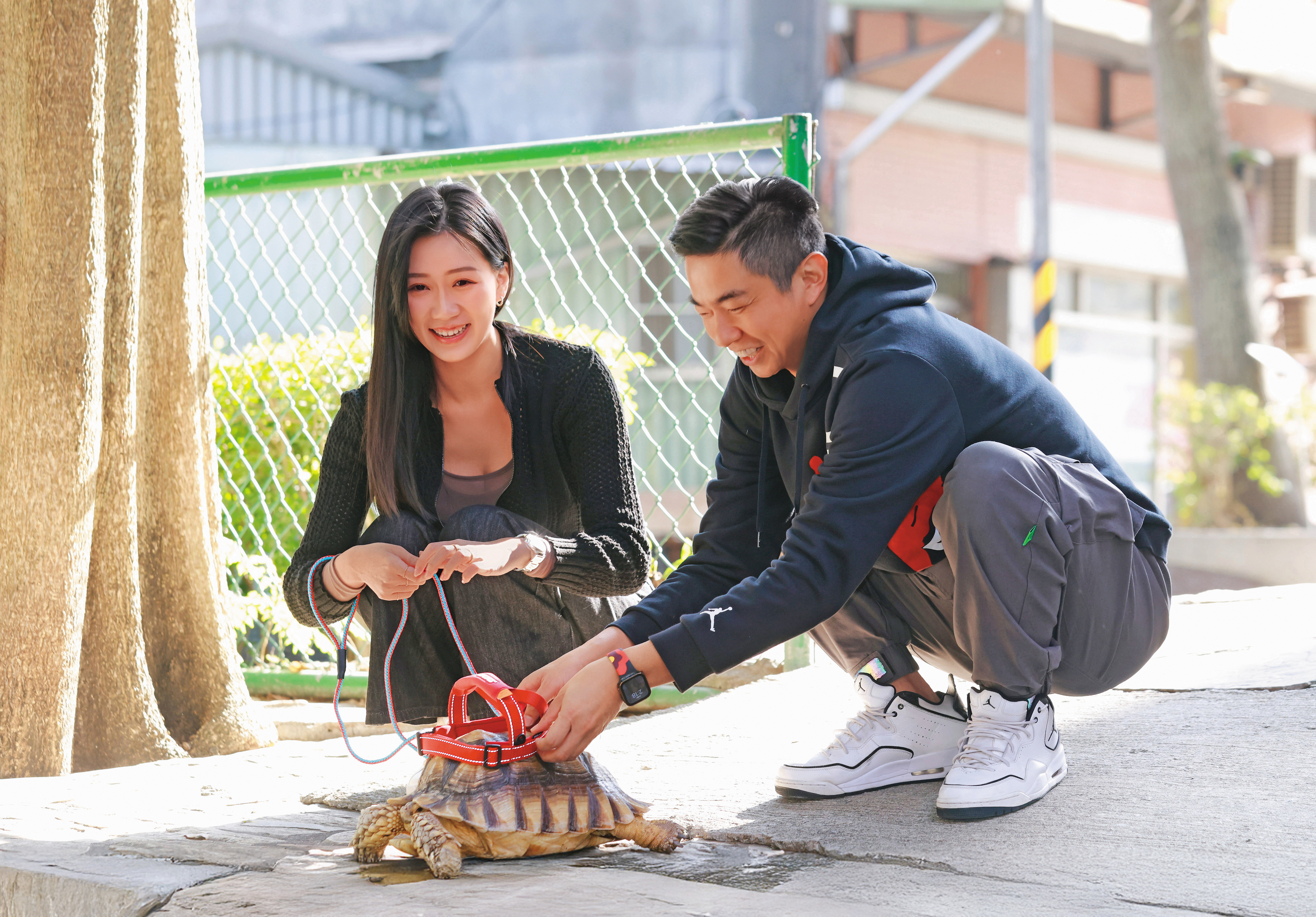 小倢(左)帶著愛犬夏米跟熊爸(右)見面,也把正在睡覺的烏龜小乖(中)抱下來,熊爸說小乖也要戴牽繩。