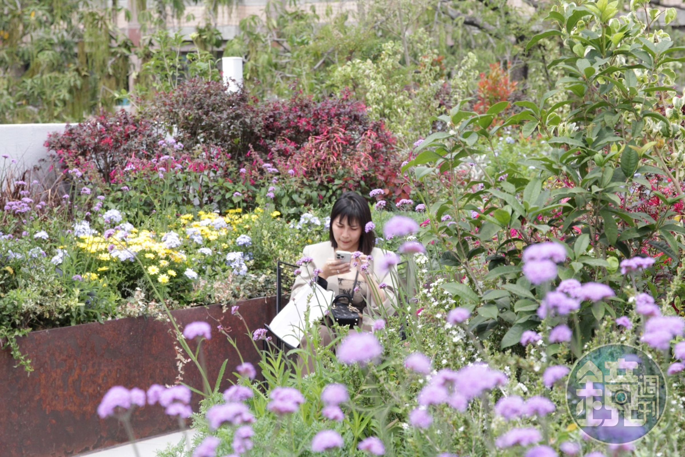 隱藏在3樓的空中花園,花草盛開蔓延出春天氣息。