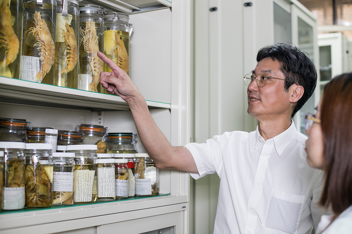 陳天任專注於甲殼十足類之分類及演化類源關係研究，他採集的研究標本和資料收藏於海洋大學，為國內種類最多、資料最齊全的蒐藏。（海洋大學提供）