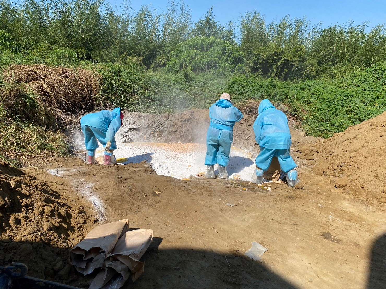 雲林縣斗六市一家白肉種雞場主動通報禽流感病例，防疫所啟動程序撲殺2萬多隻種雞、銷毀近5萬顆雞蛋。（雲林縣政府提供）
