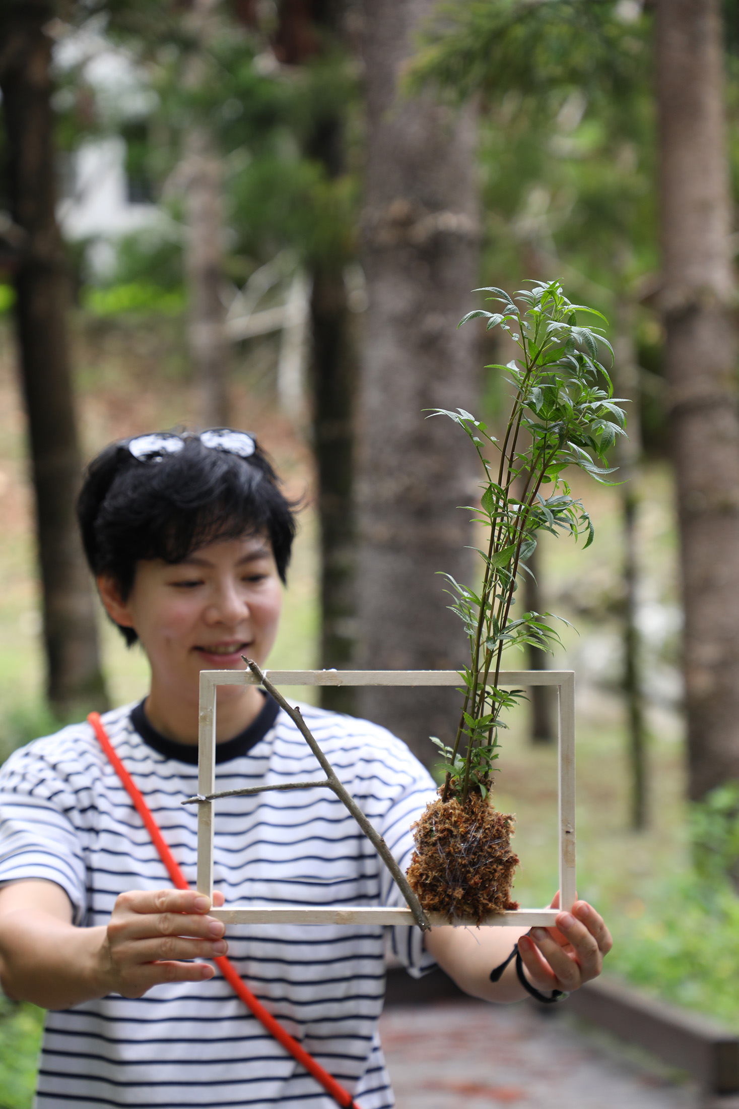參加「香草學院—日常植物學」的住客，可以親手製作香草植栽畫框。（每房一件免費）
