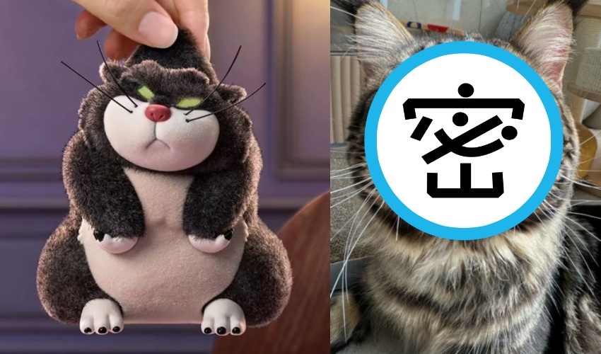 超反差萌！中國緬因貓嘴巴腫鼓鼓，連飼主看到牠都會想笑，網友也發現牠神似迪士尼《仙履奇緣》裡的路西法（左圖）。（翻攝自網路／小紅書）