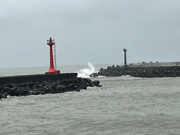 中壢區漁會表示，明天永安漁港漁市不休市。（中壢區漁會提供）